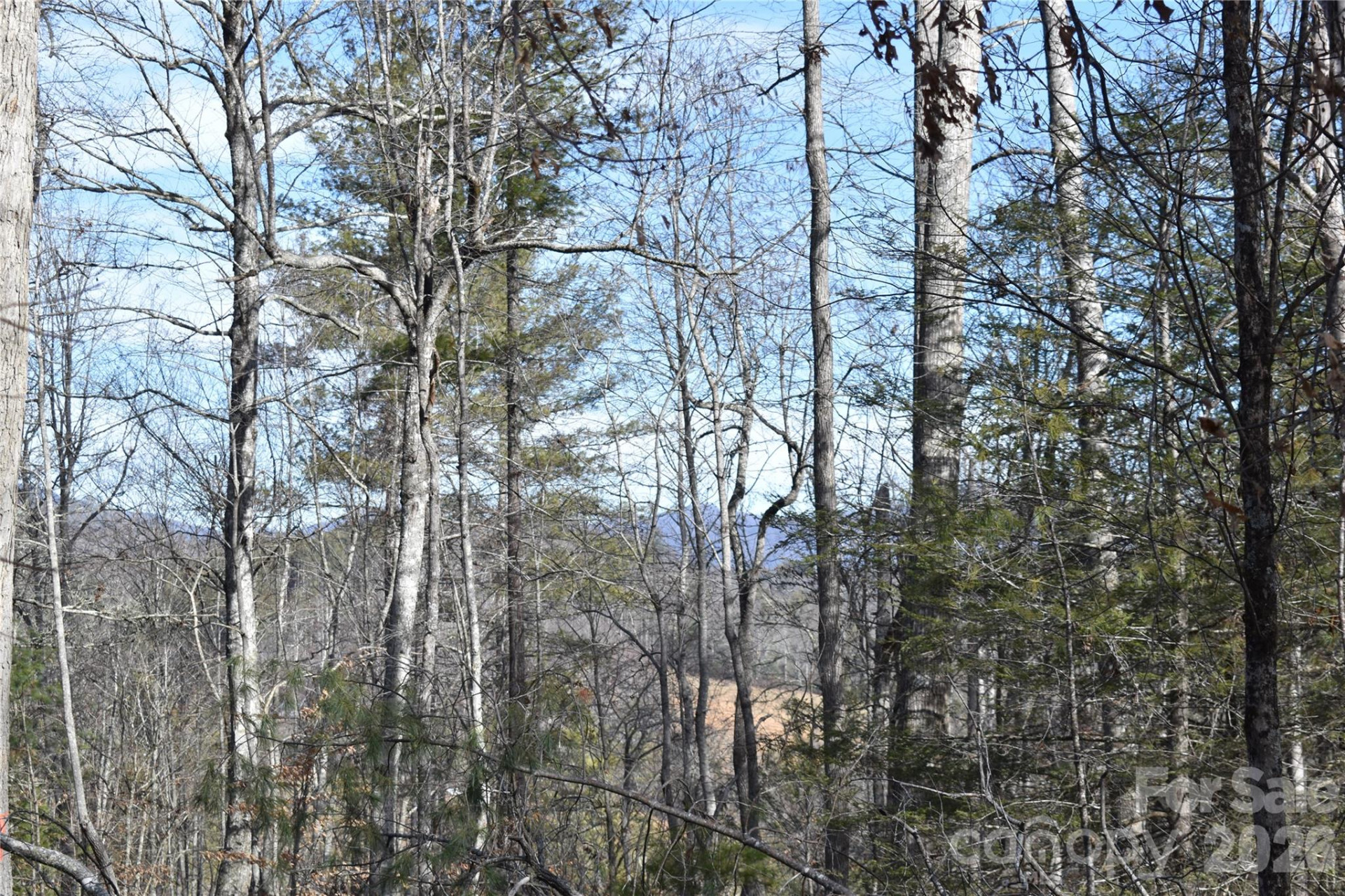 448 Sweetwater Road - Photo 27