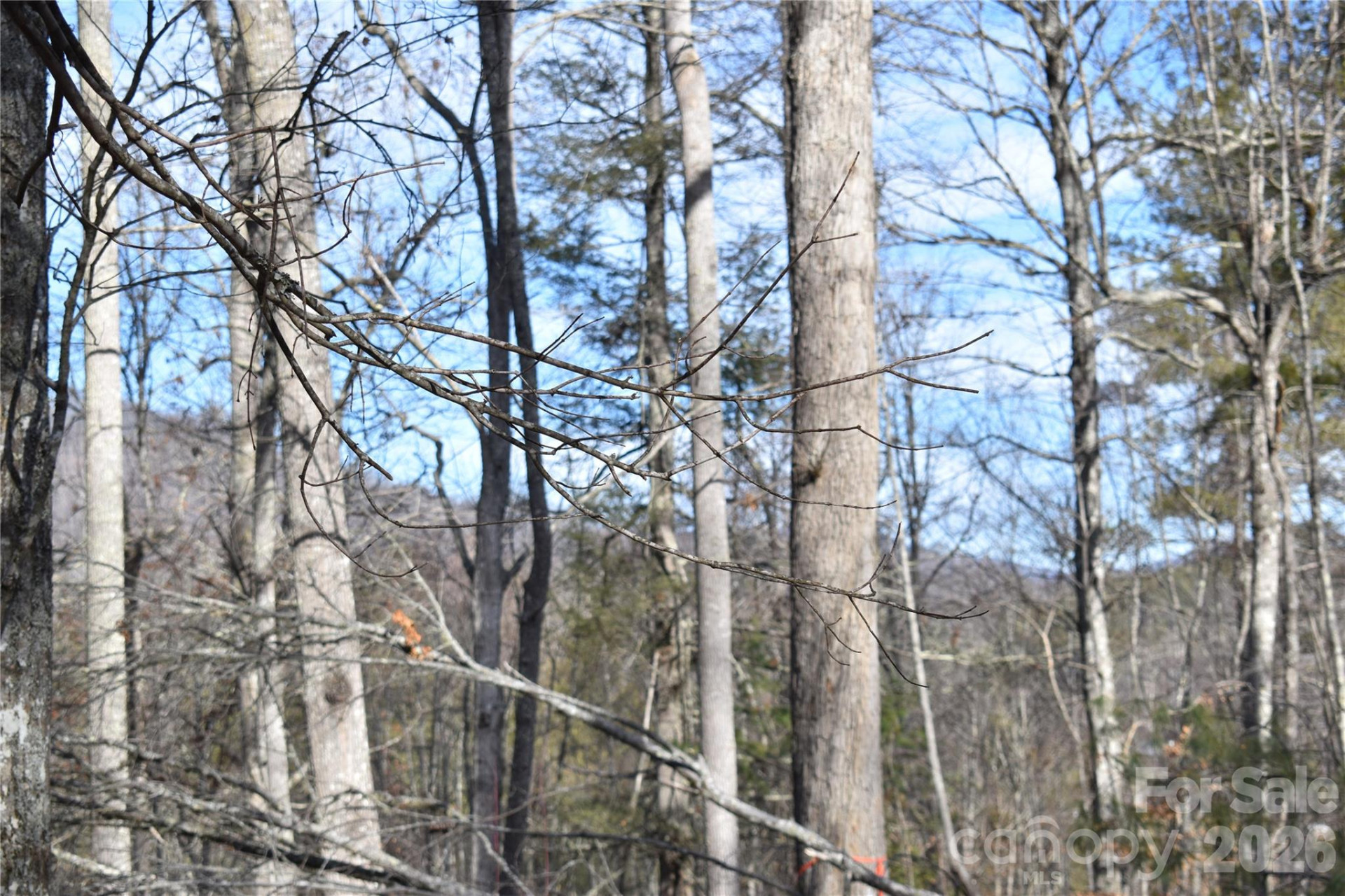 448 Sweetwater Road - Photo 28