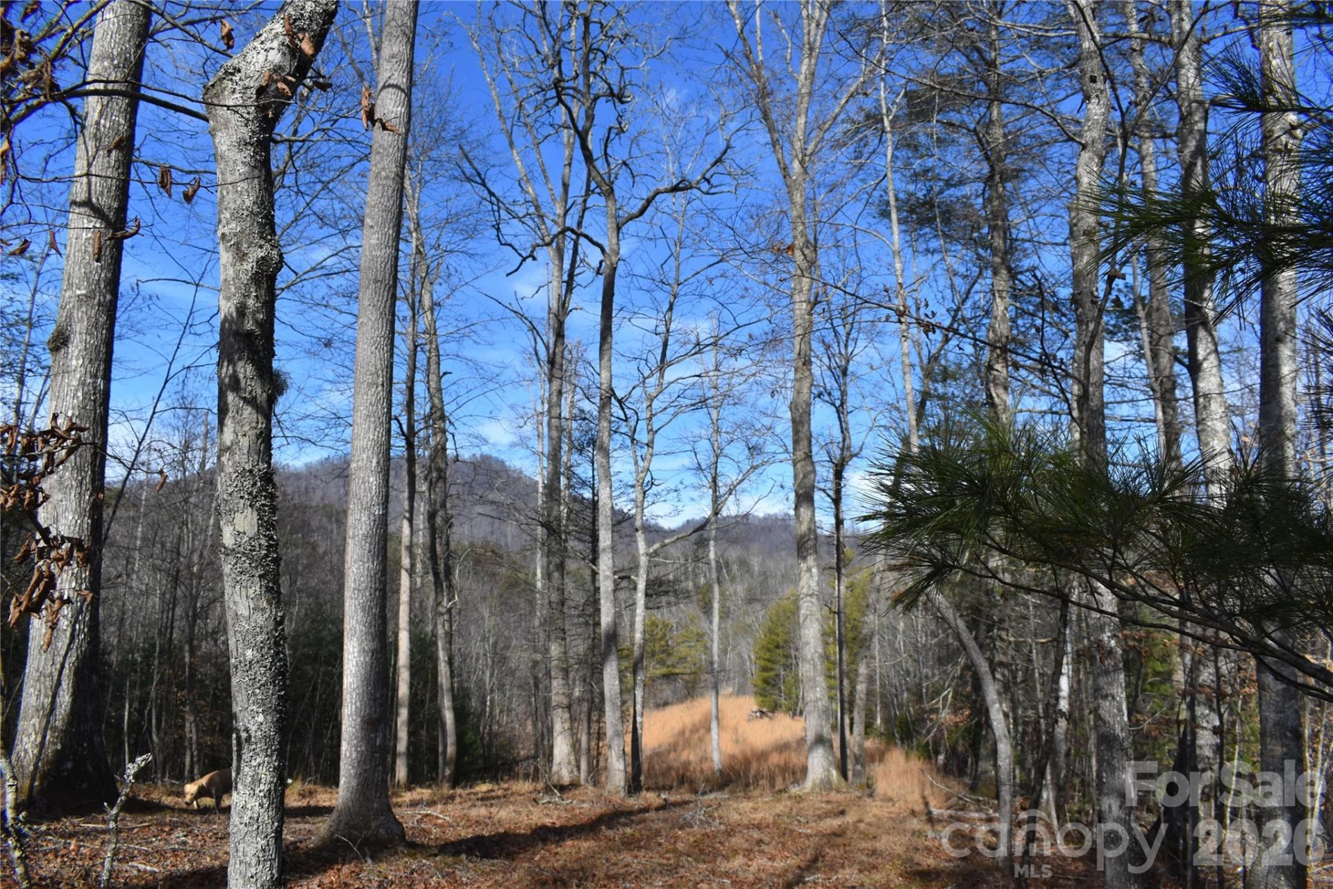 448 Sweetwater Road - Photo 29