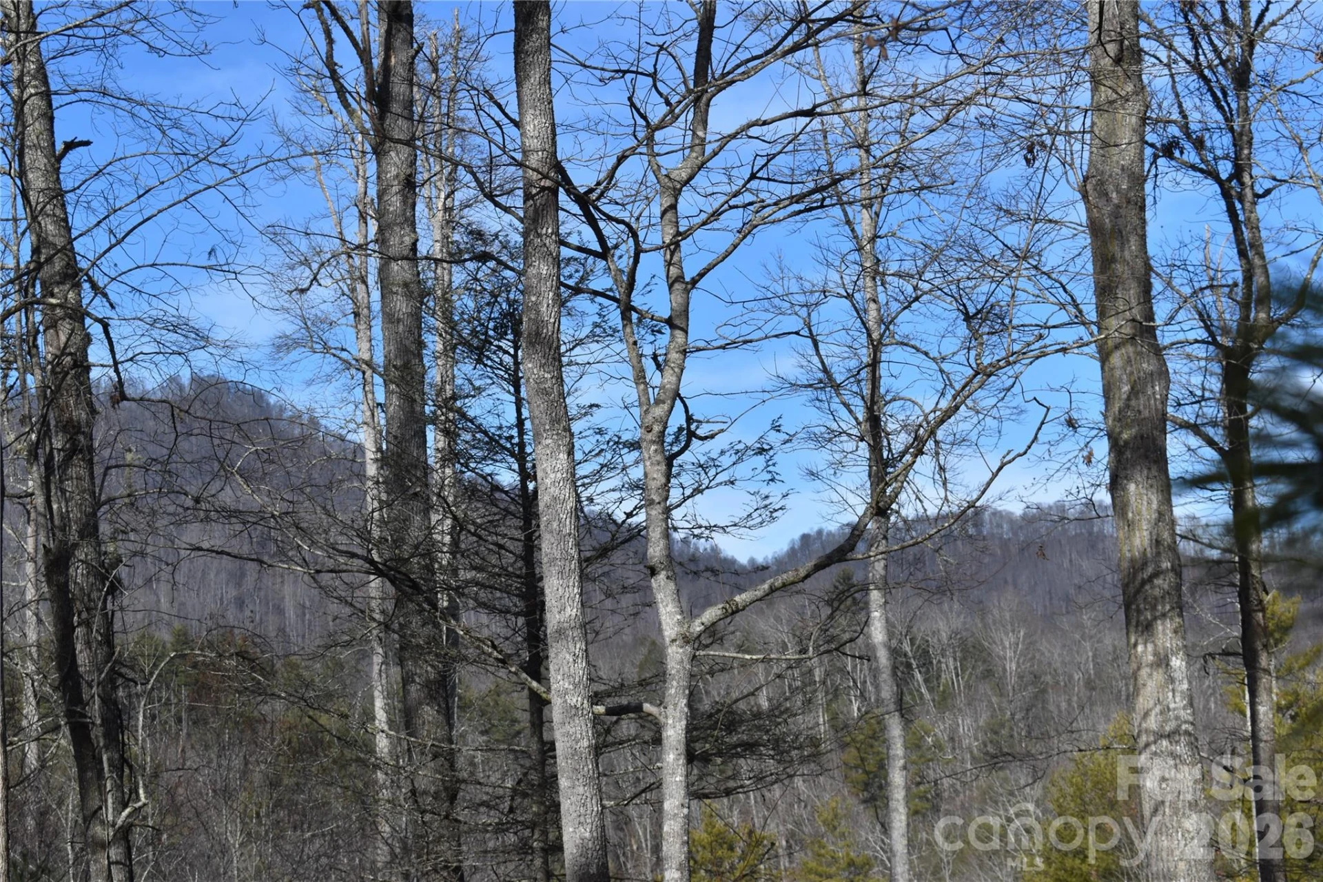 448 Sweetwater Road - Photo 30