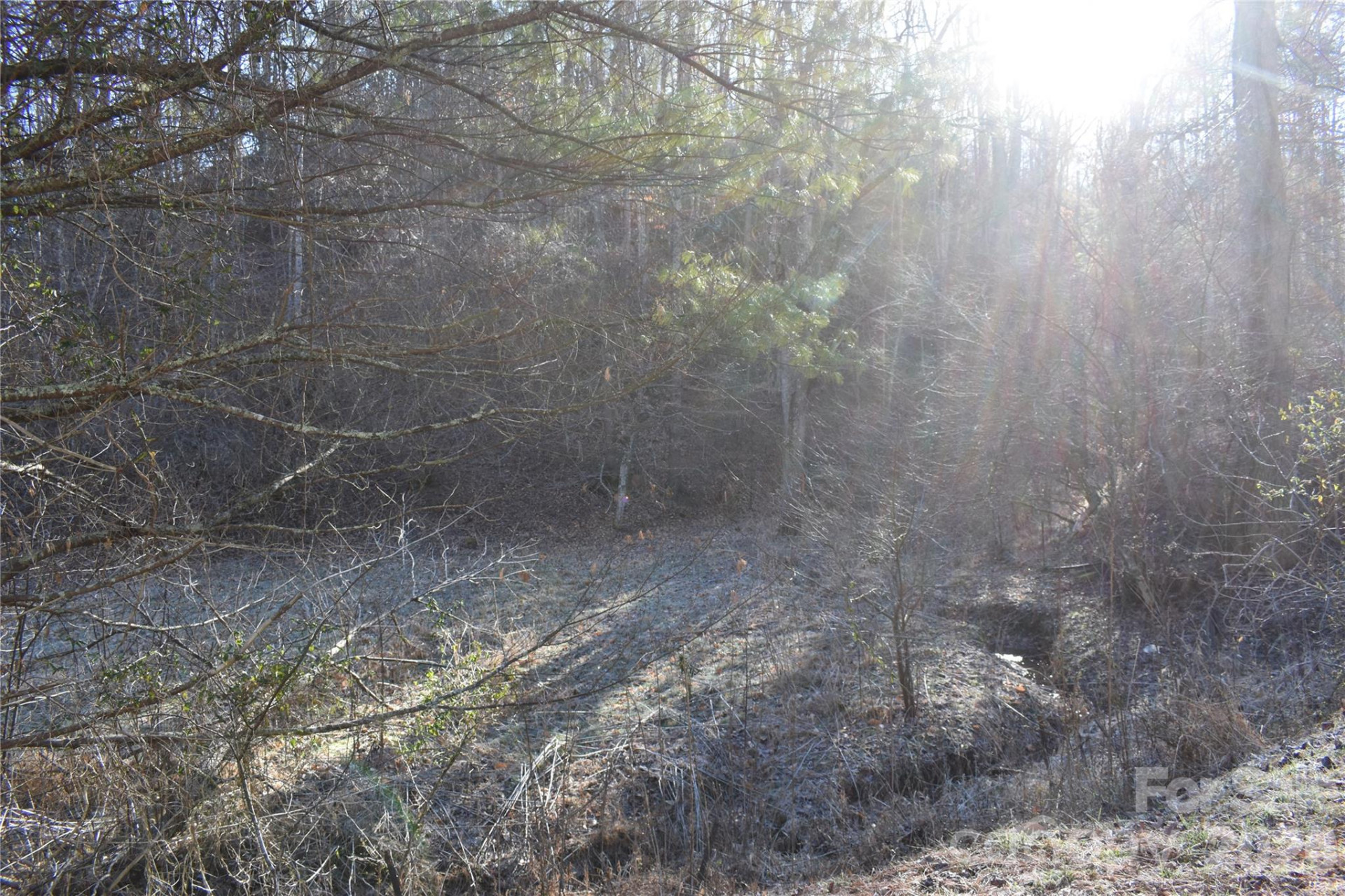 448 Sweetwater Road - Photo 4