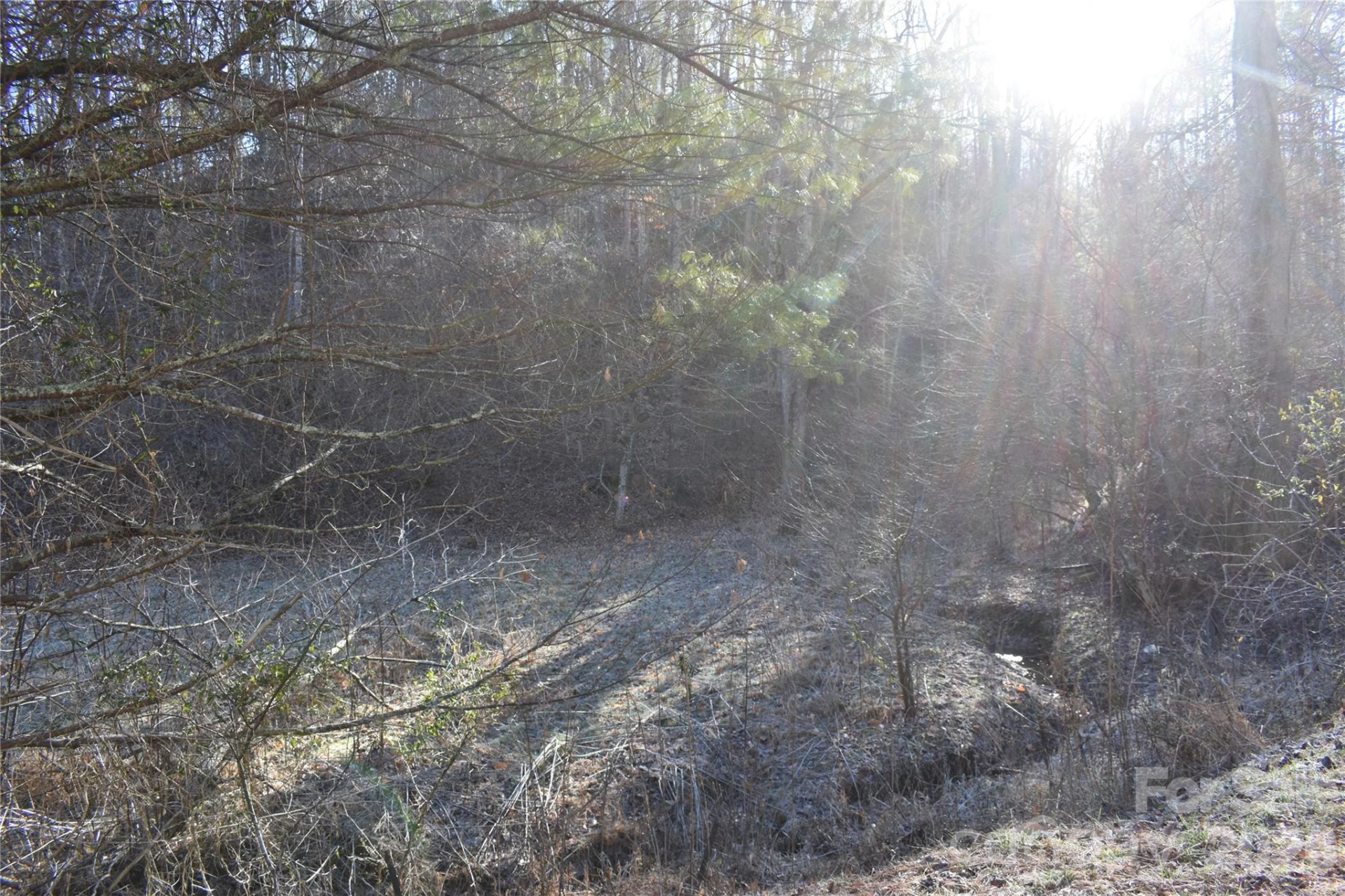 448 Sweetwater Road - Photo 4