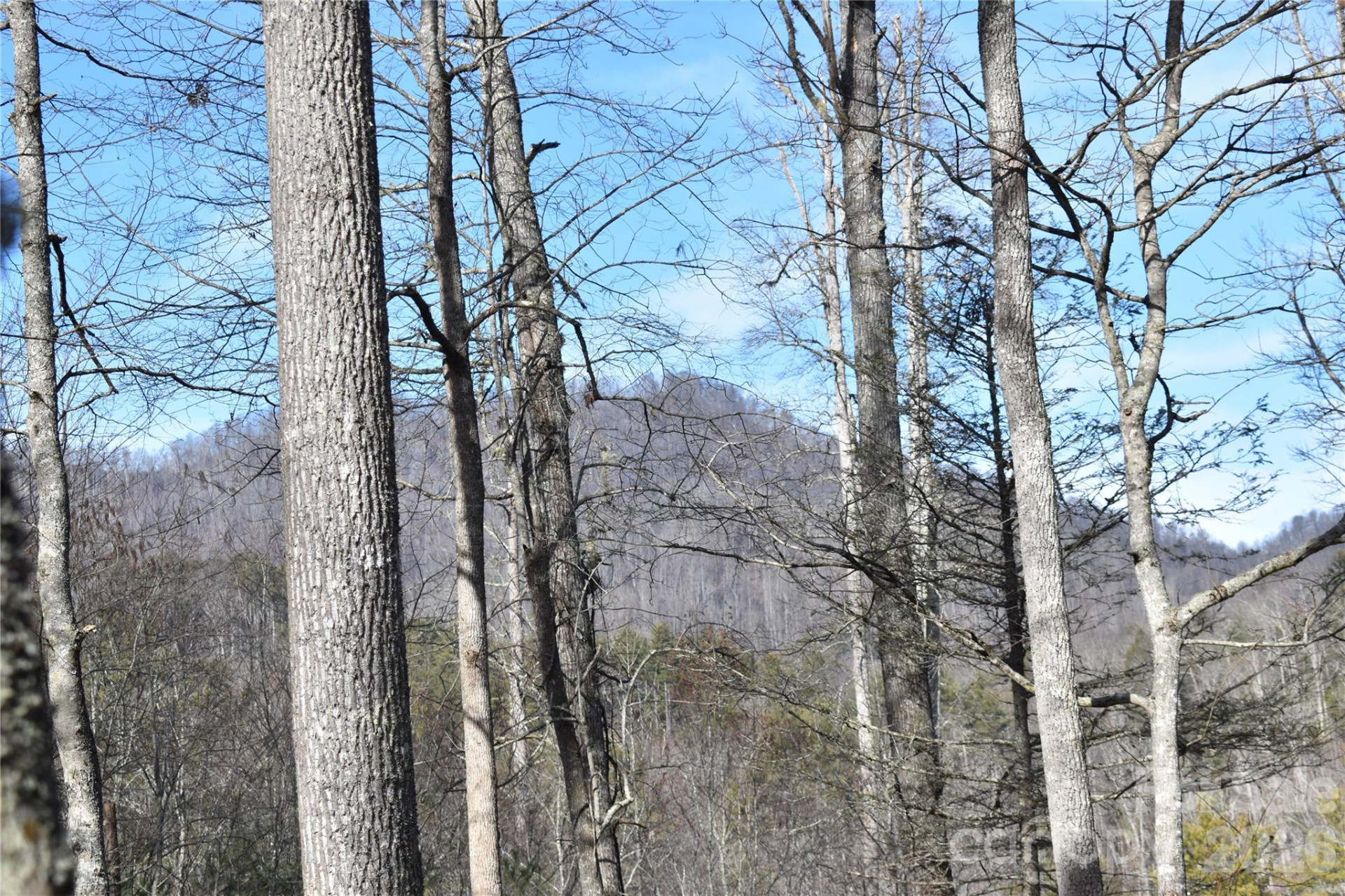 448 Sweetwater Road - Photo 31