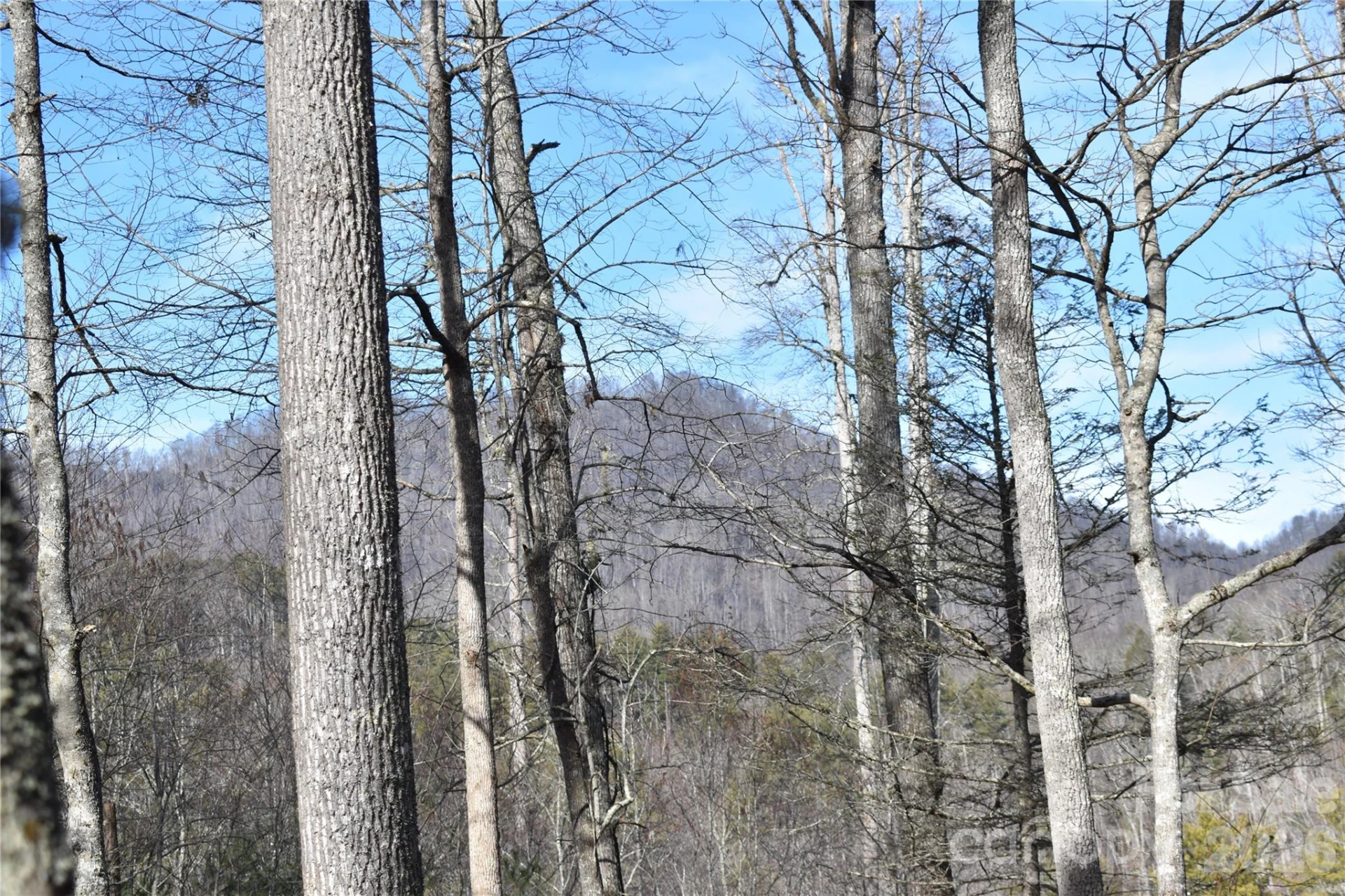 448 Sweetwater Road - Photo 31