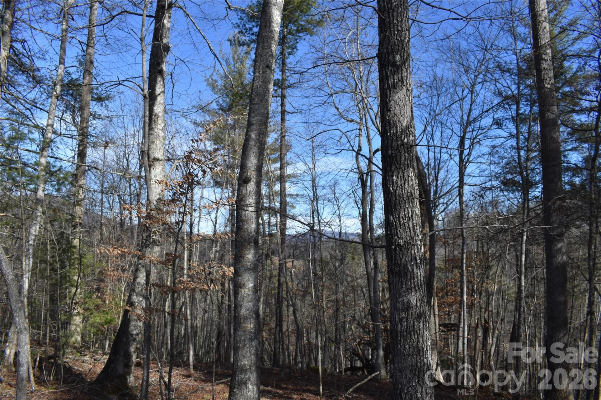 448 Sweetwater Road - Photo 32
