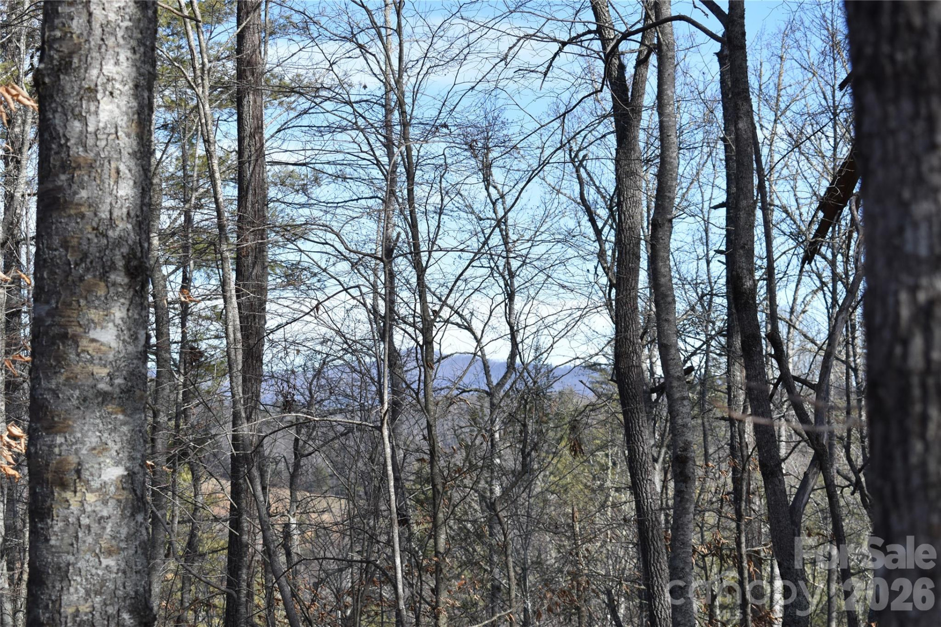 448 Sweetwater Road - Photo 33