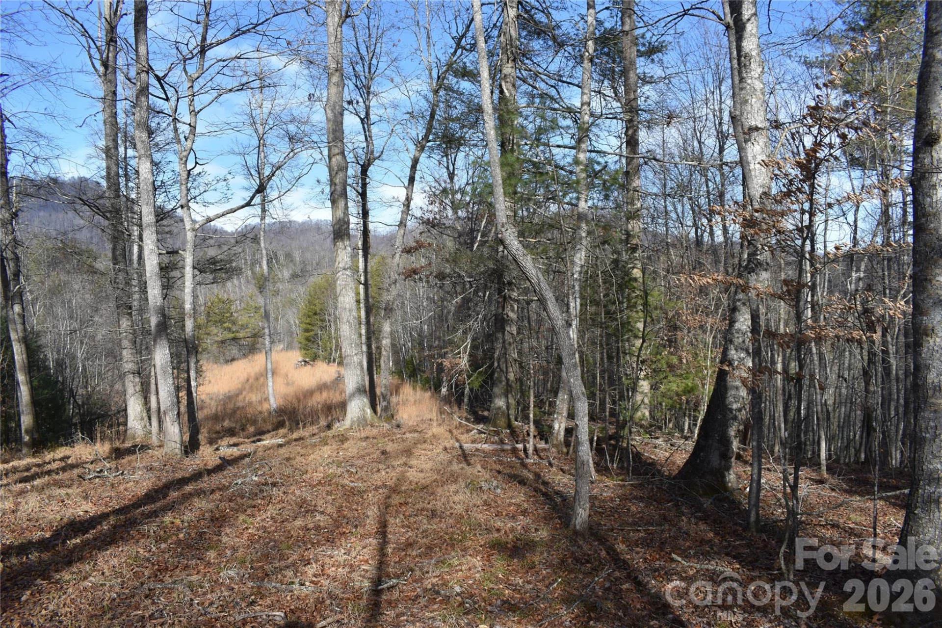 448 Sweetwater Road - Photo 34