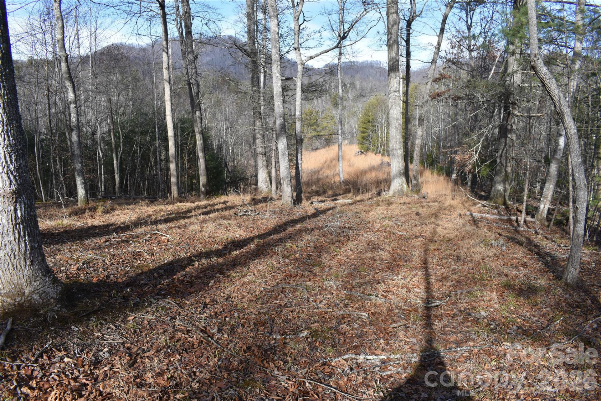 448 Sweetwater Road - Photo 35