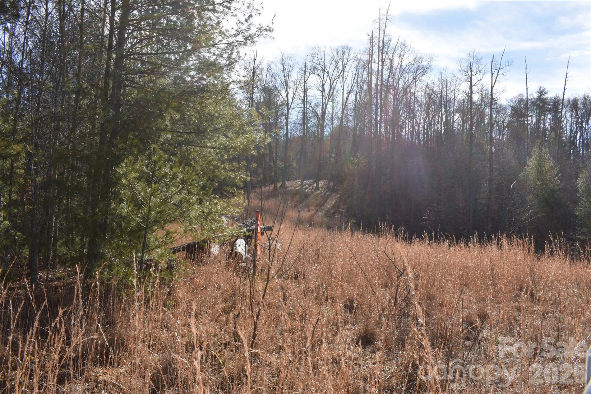 448 Sweetwater Road - Photo 36