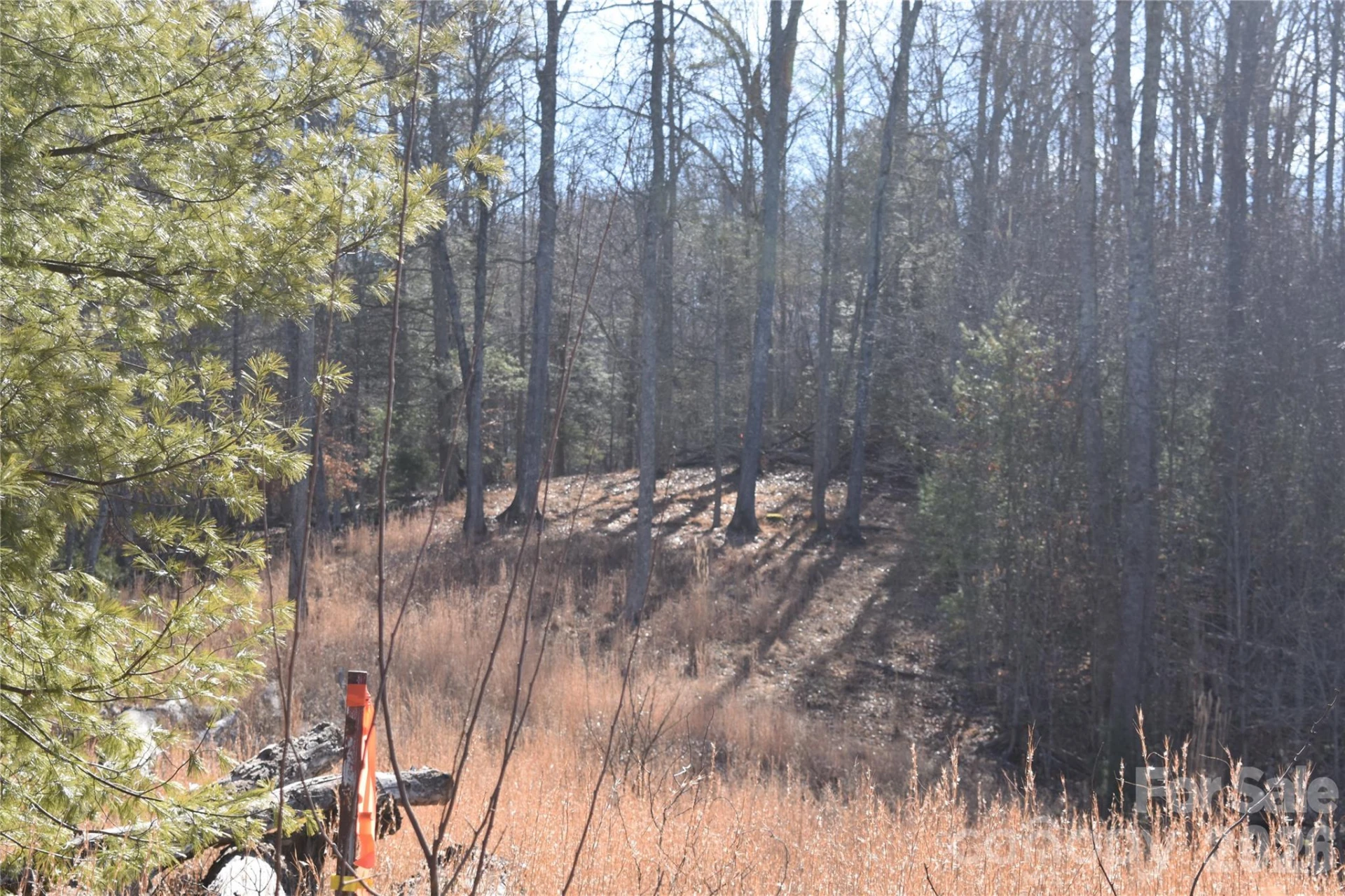 448 Sweetwater Road - Photo 37