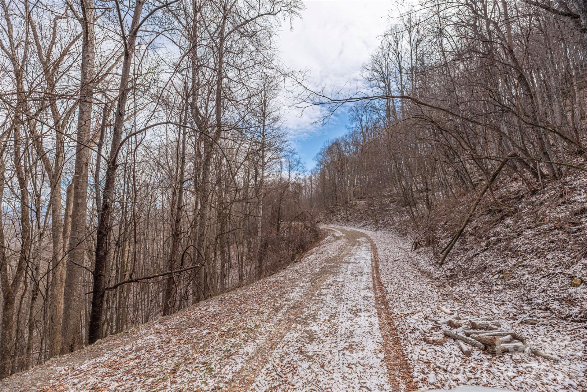 00 Curry Comb Trail #516 - Photo 2