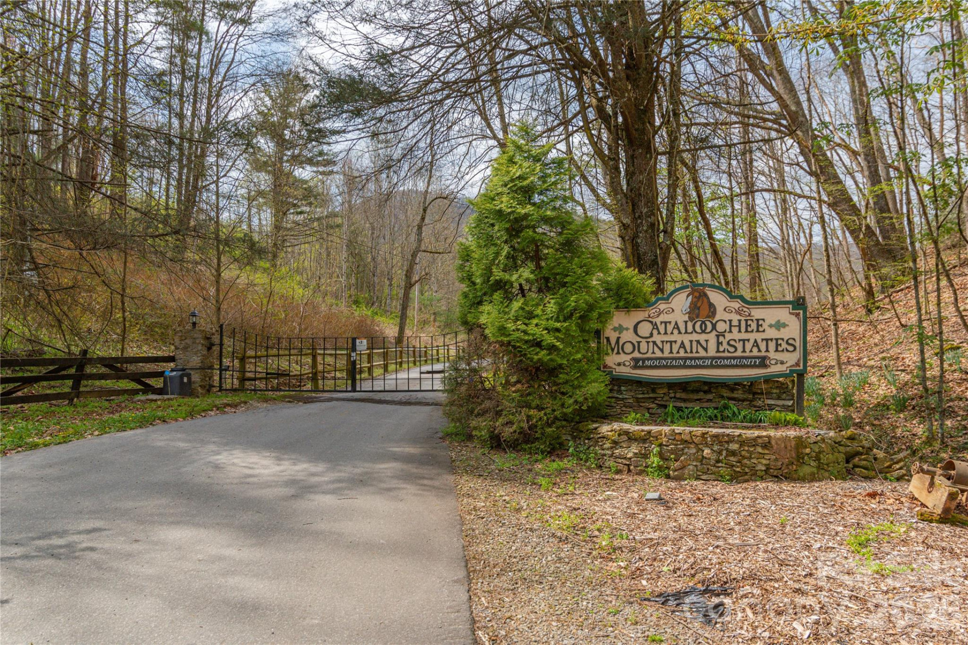 00 Curry Comb Trail #516 - Photo 11