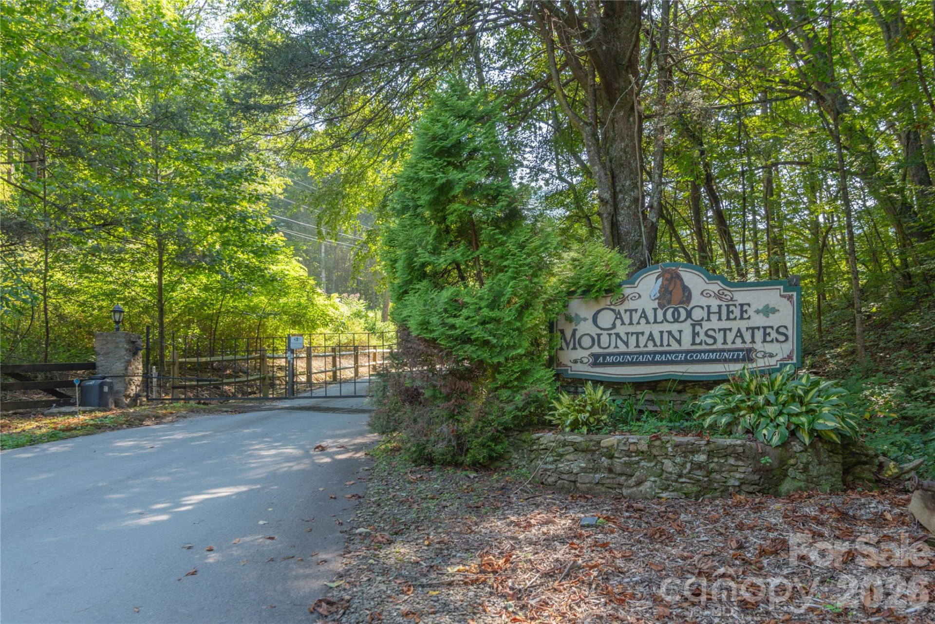 00 Curry Comb Trail #516 - Photo 20