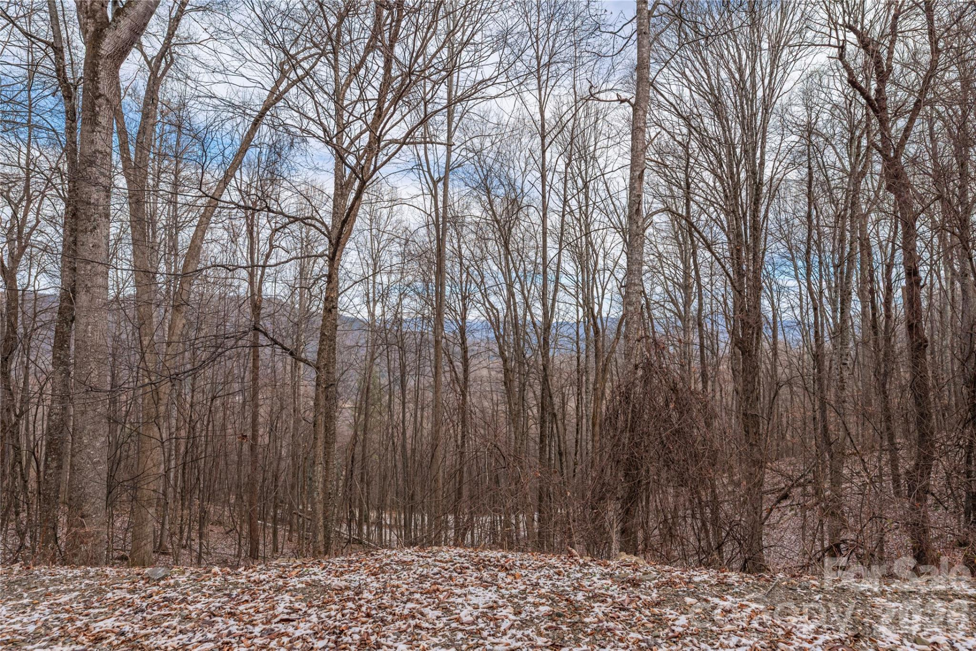 00 Curry Comb Trail #516 - Photo 3