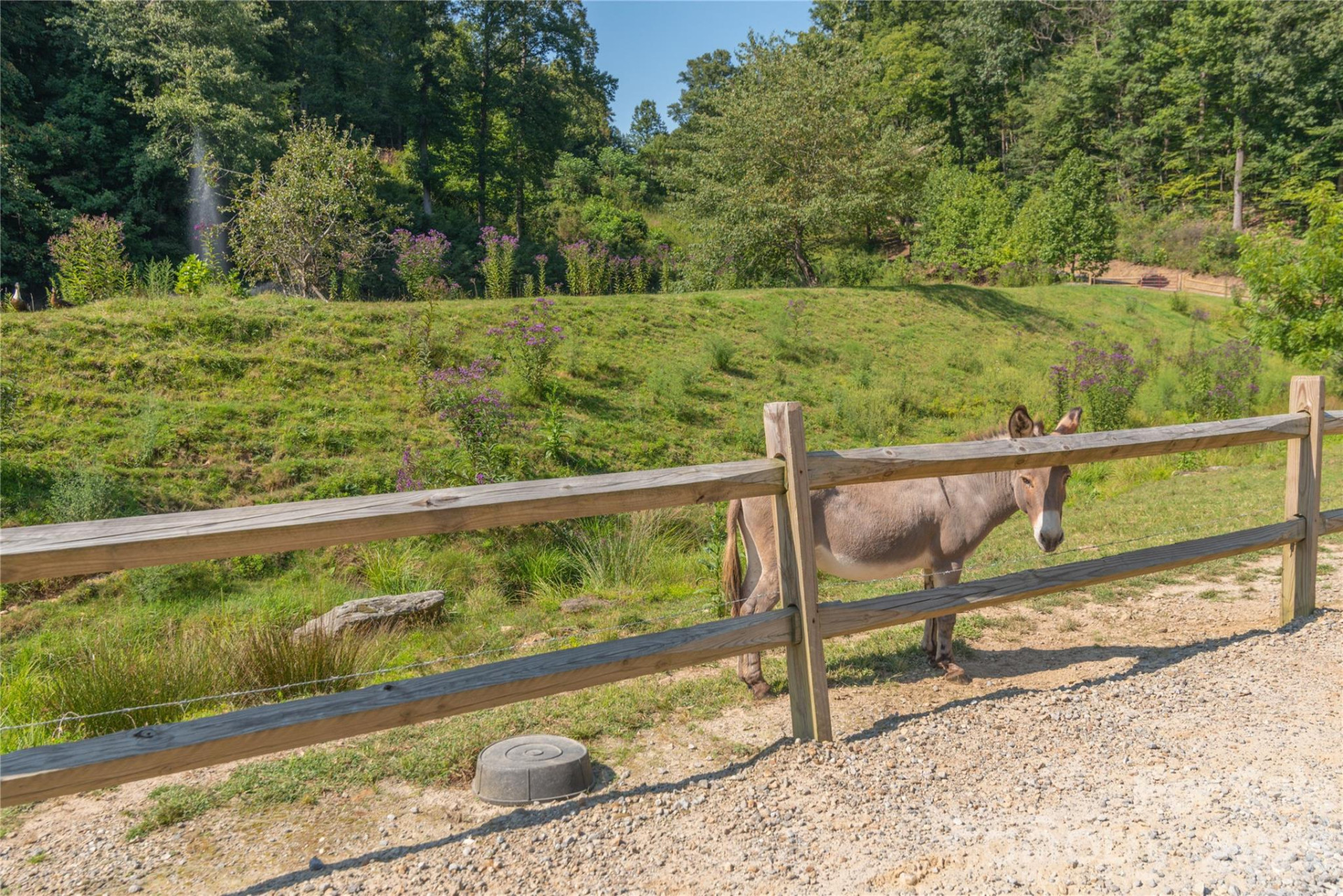 00 Curry Comb Trail #518 - Photo 16