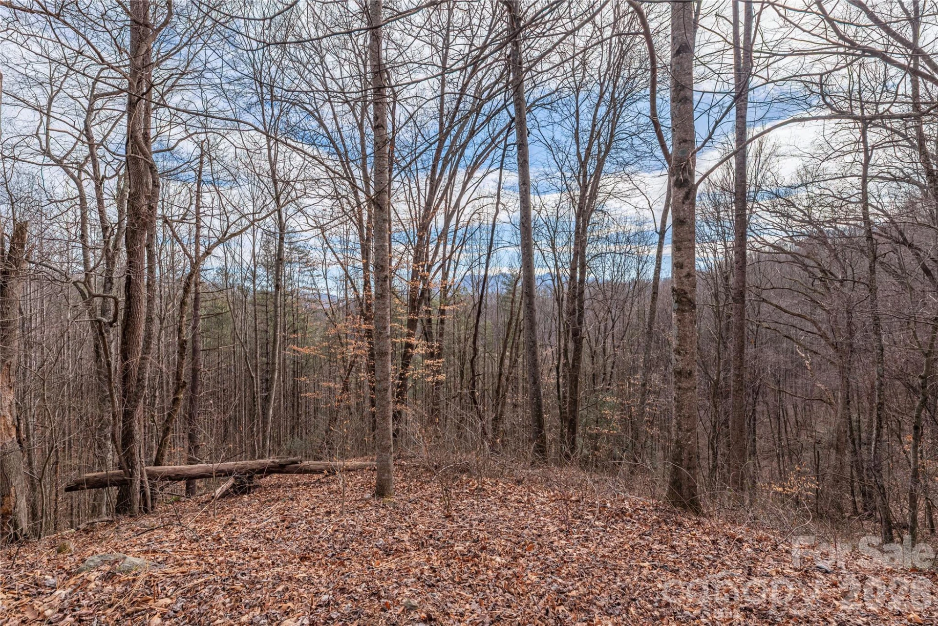 00 Point Of View Drive #201 - Photo 5