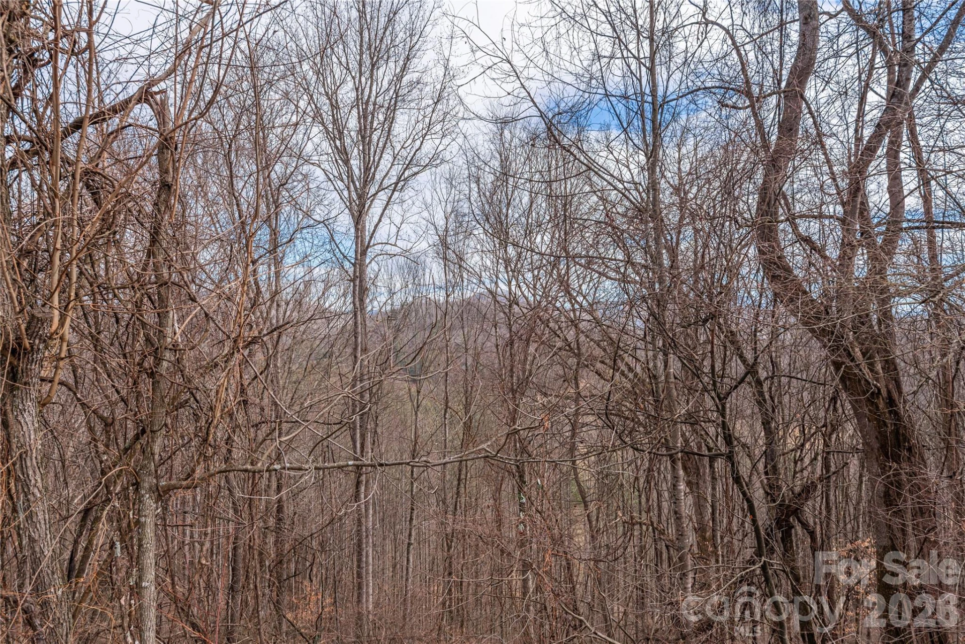 00 Point Of View Drive #201 - Photo 7