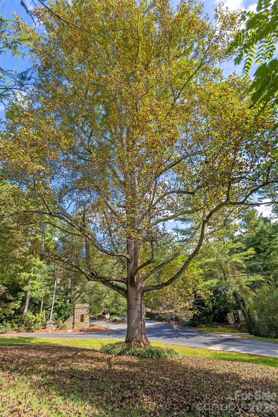 91 Haw Creek Circle - Photo 27