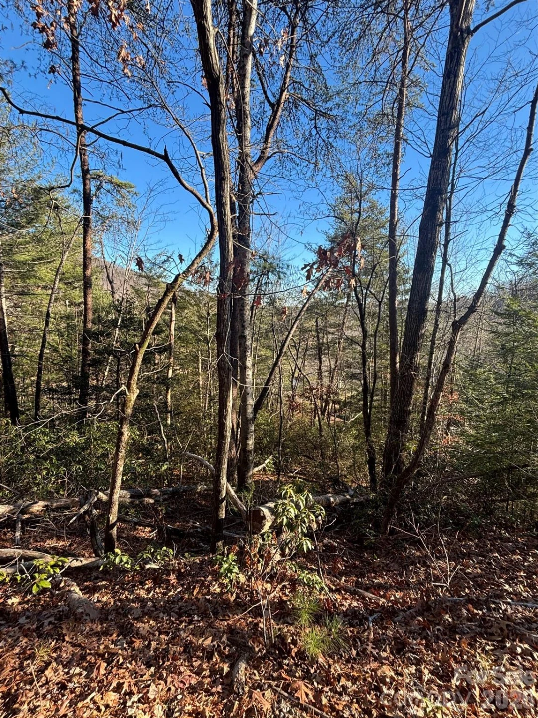 Lot 19 Nicklaus Lane - Photo 2