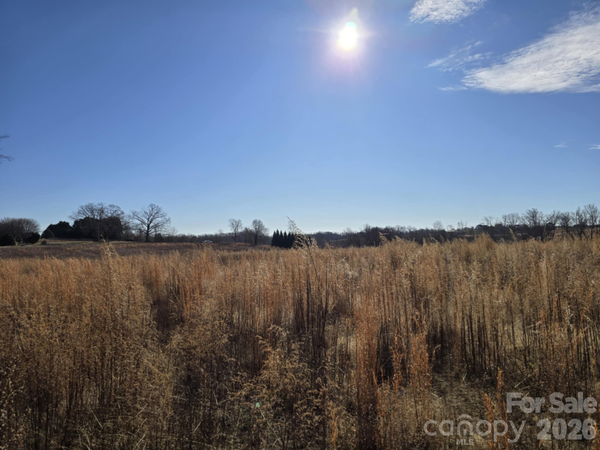 TBD Sandy Springs Road - Photo 2