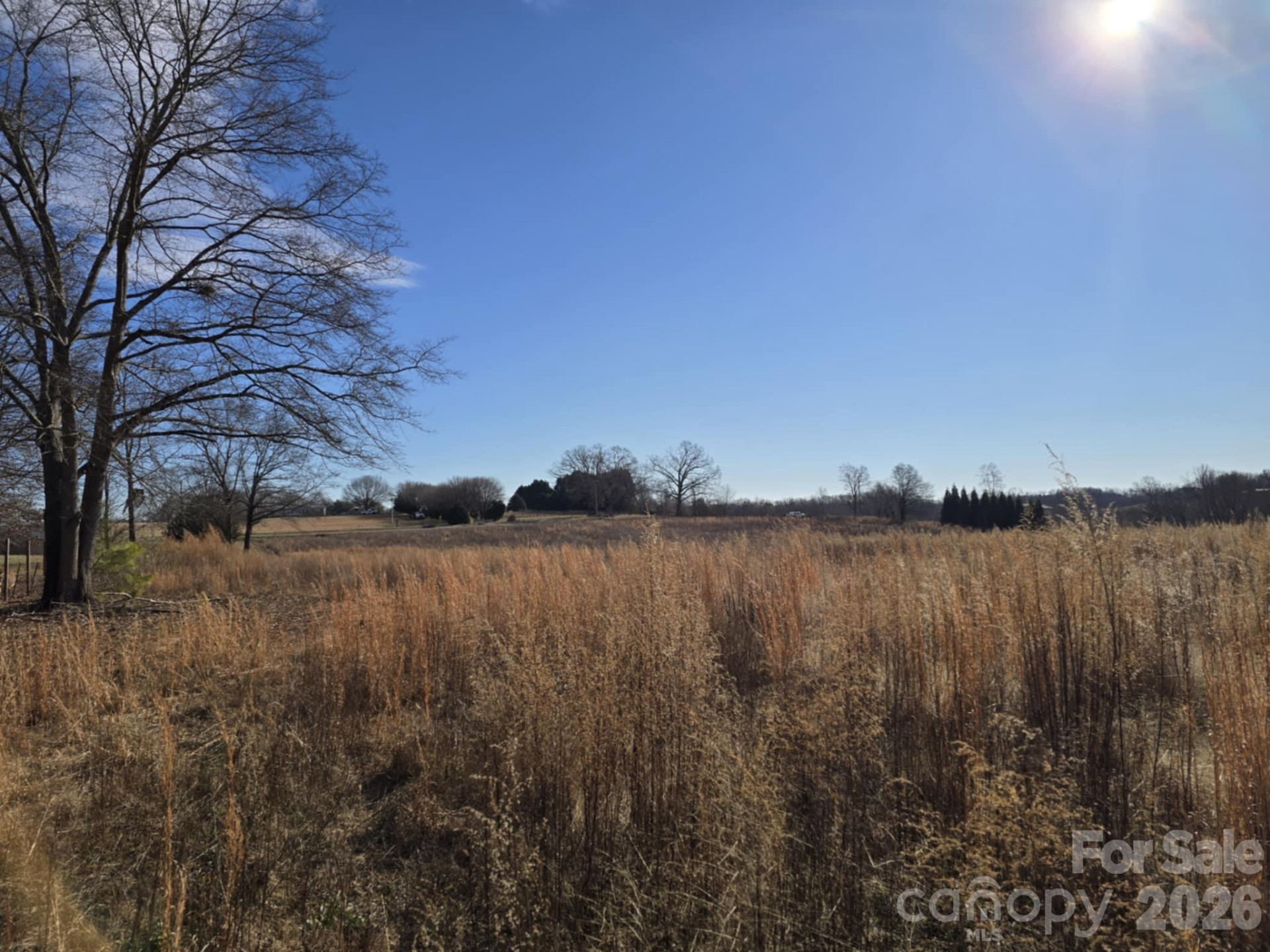 TBD Sandy Springs Road - Photo 11