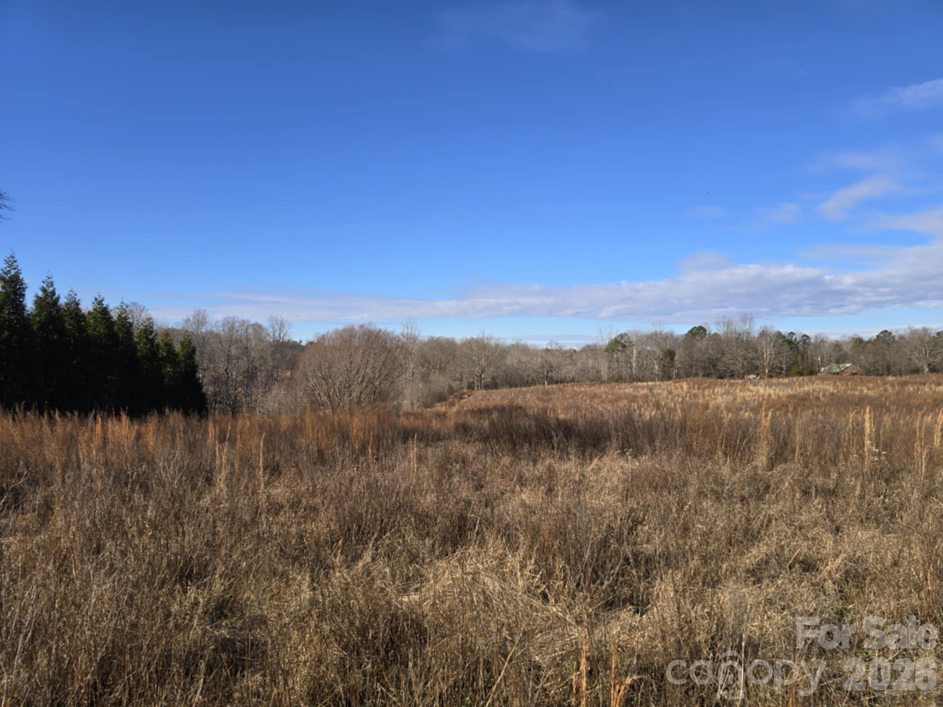 TBD Sandy Springs Road - Photo 12