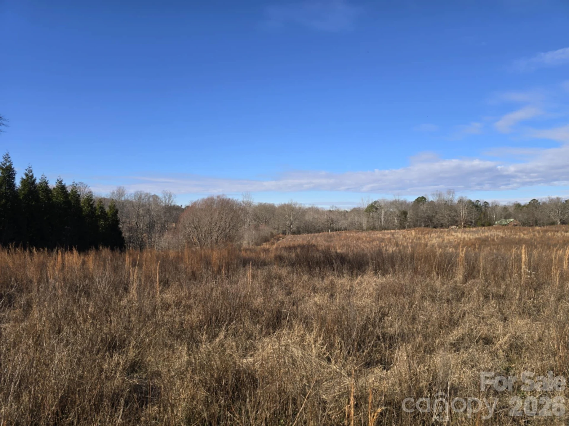 TBD Sandy Springs Road - Photo 12