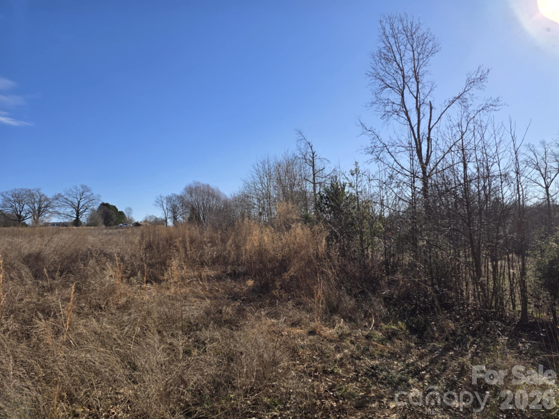 TBD Sandy Springs Road - Photo 13