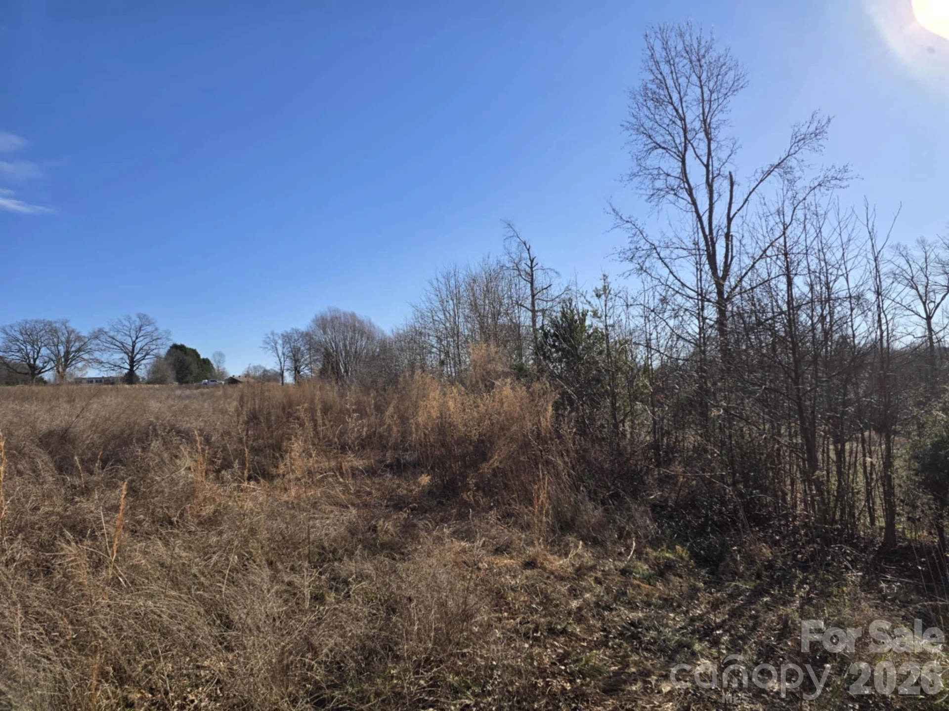 TBD Sandy Springs Road - Photo 13