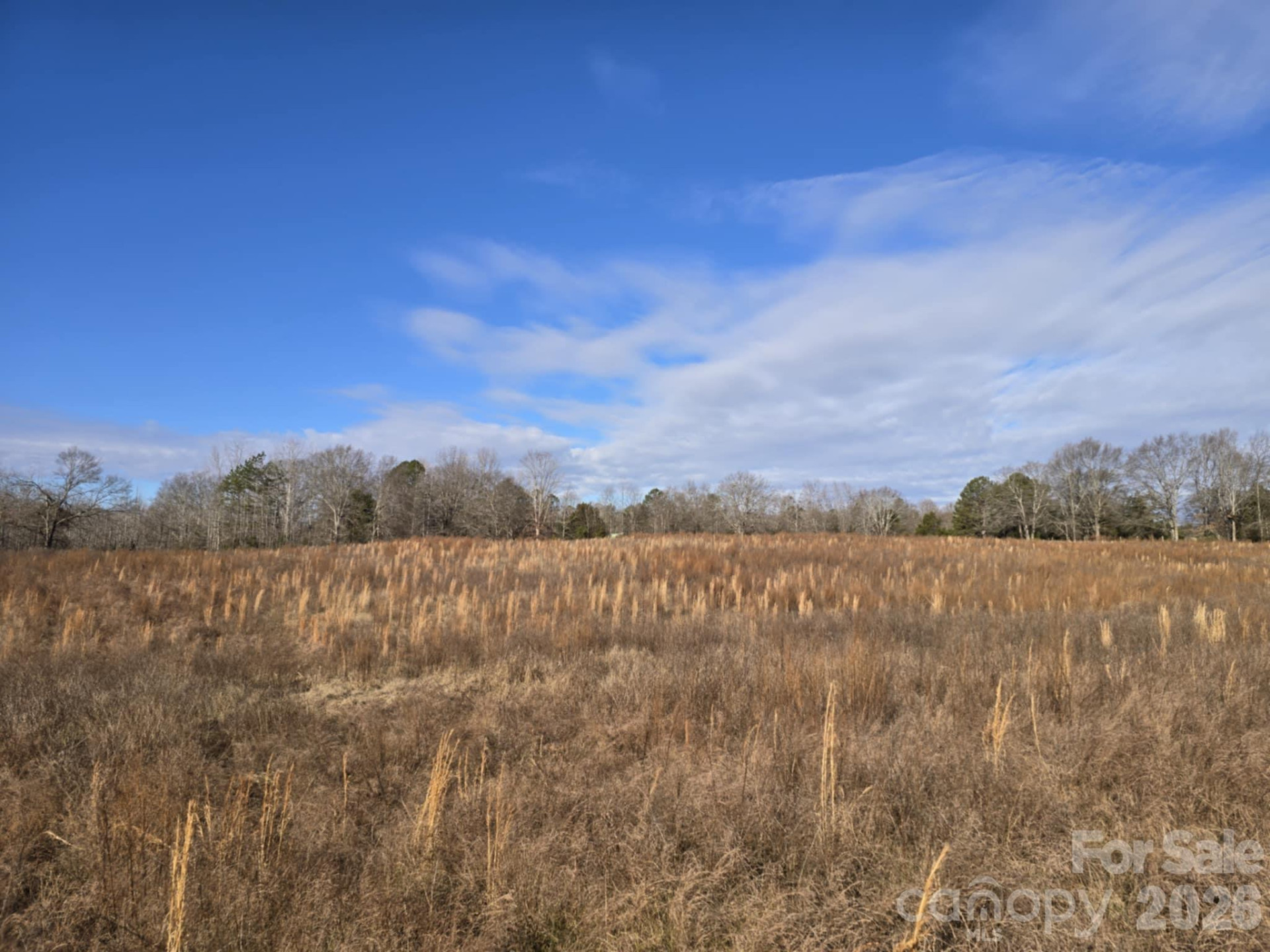 TBD Sandy Springs Road - Photo 14