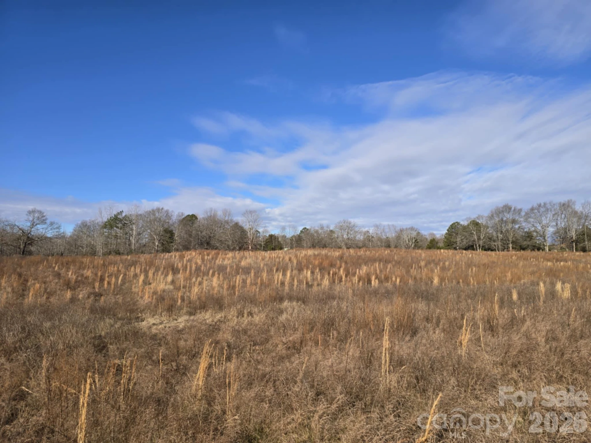 TBD Sandy Springs Road - Photo 14