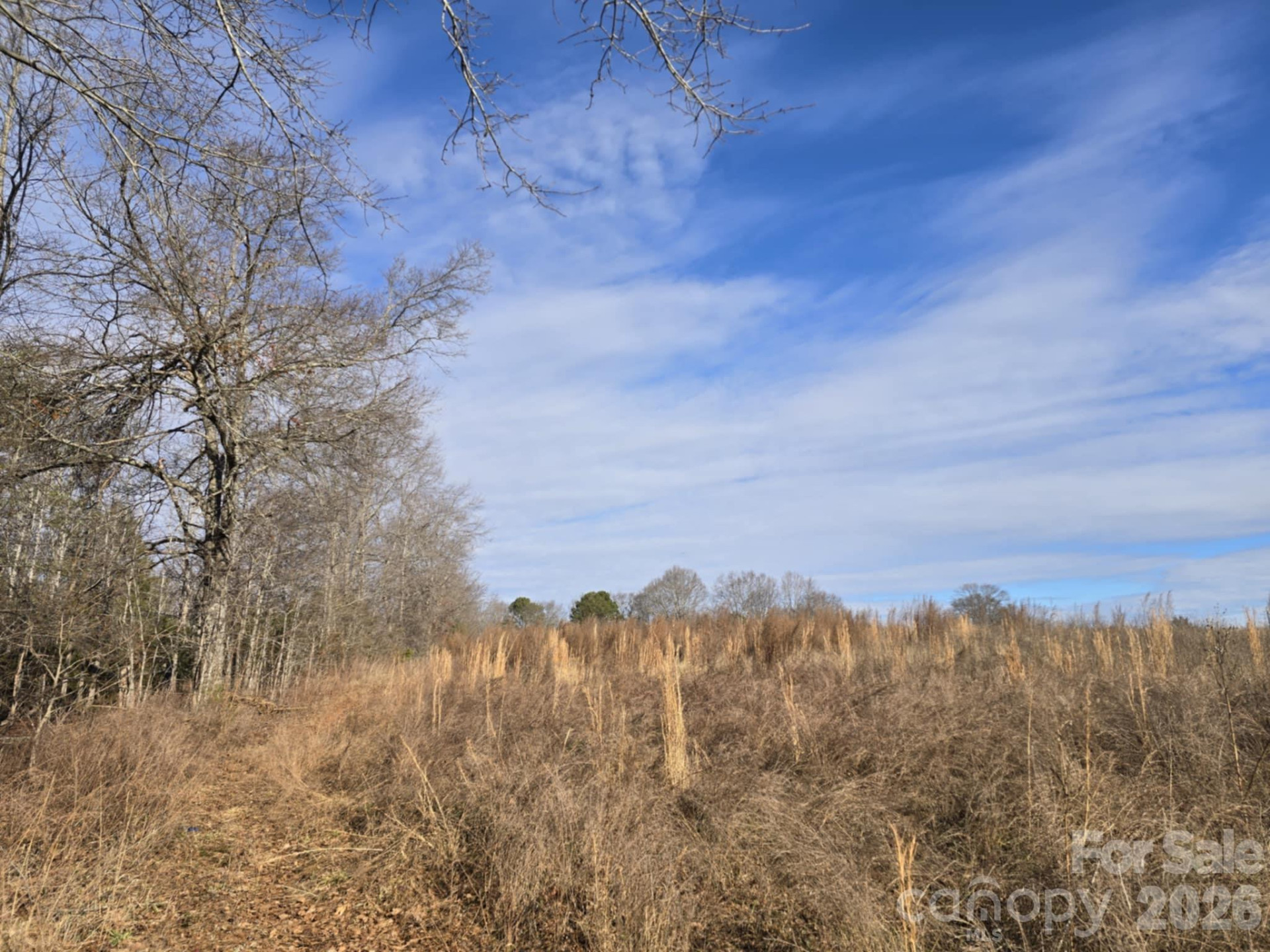 TBD Sandy Springs Road - Photo 15