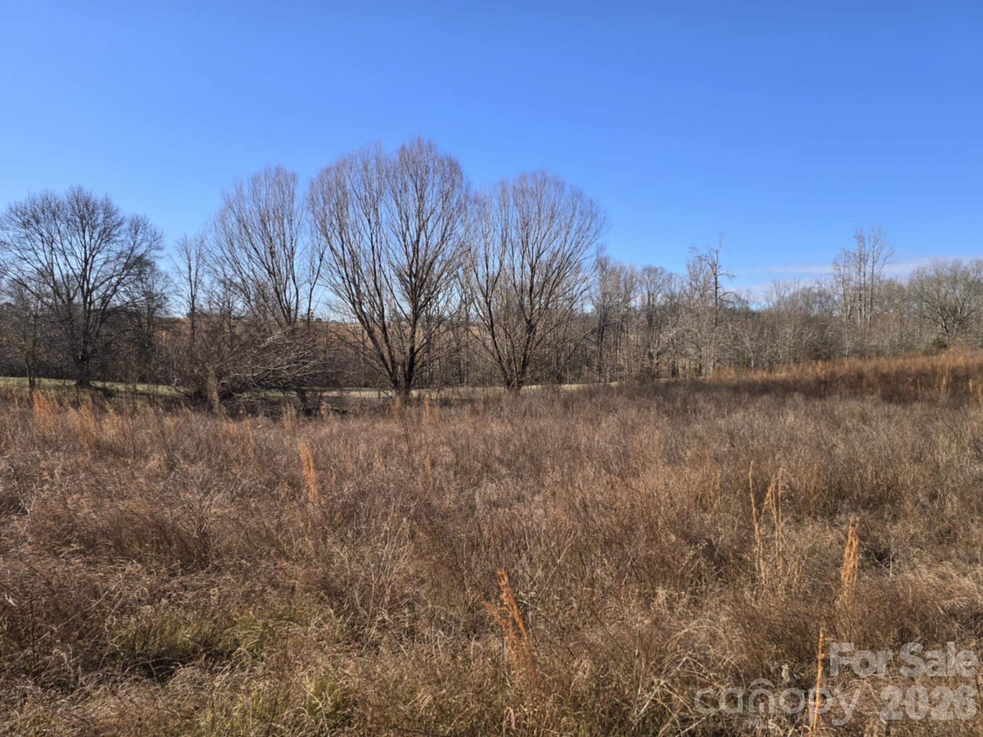 TBD Sandy Springs Road - Photo 16