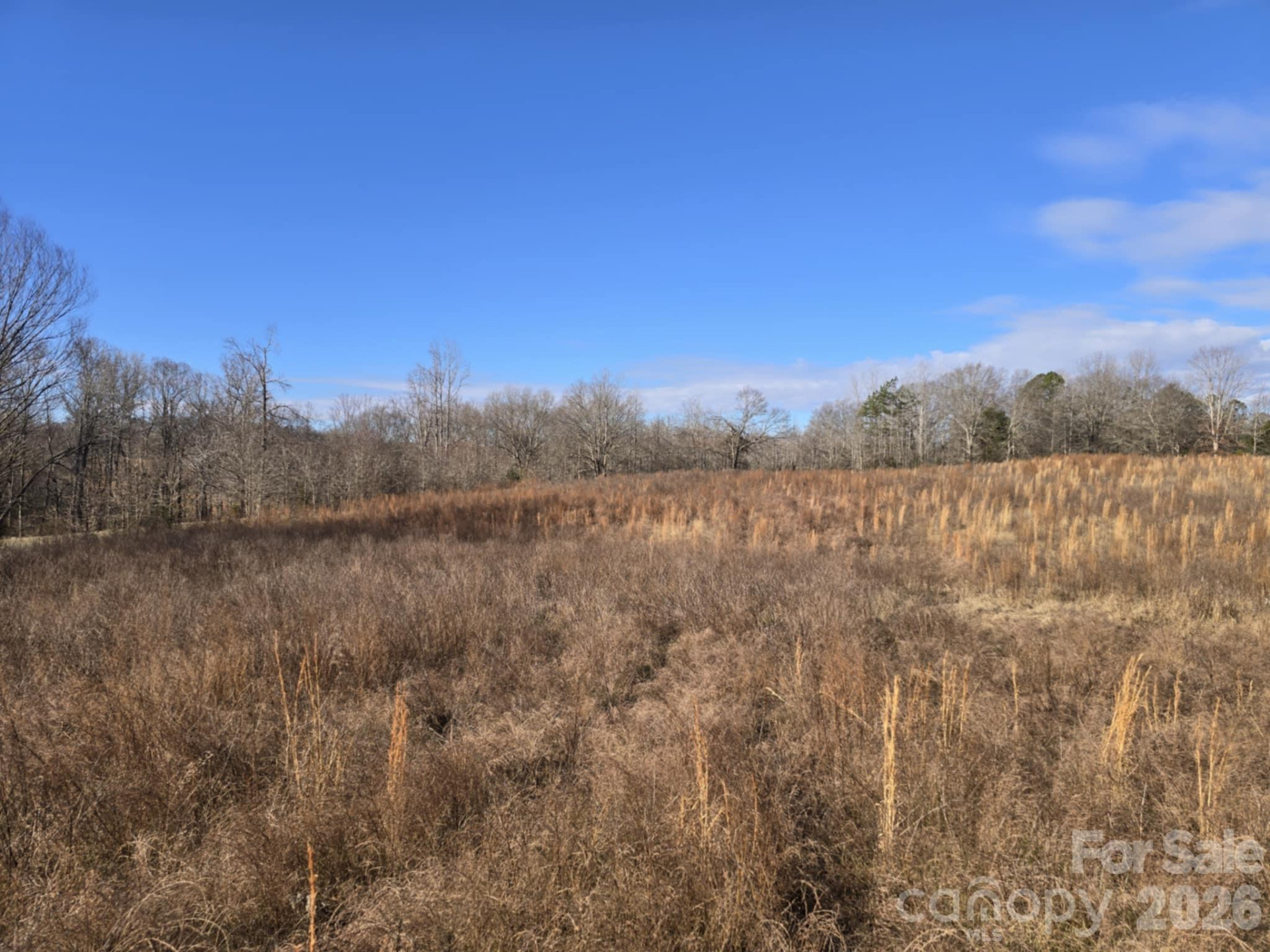 TBD Sandy Springs Road - Photo 17