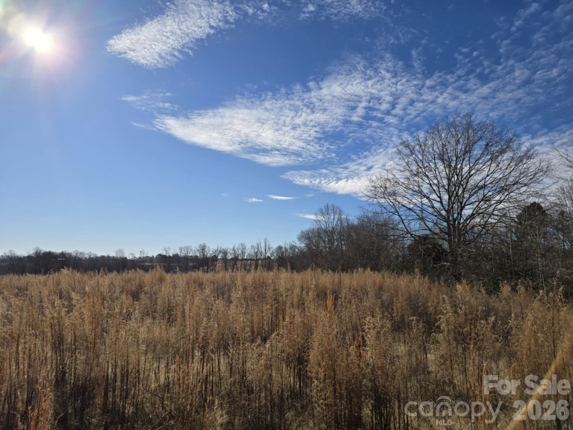 TBD Sandy Springs Road - Photo 18
