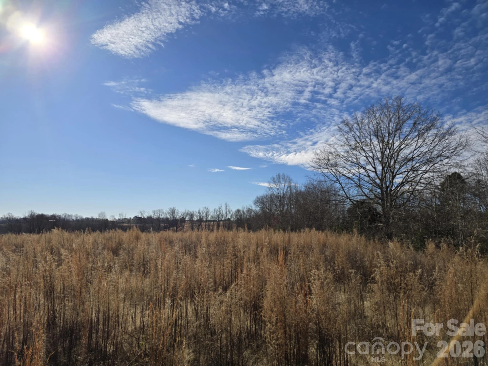 TBD Sandy Springs Road - Photo 19