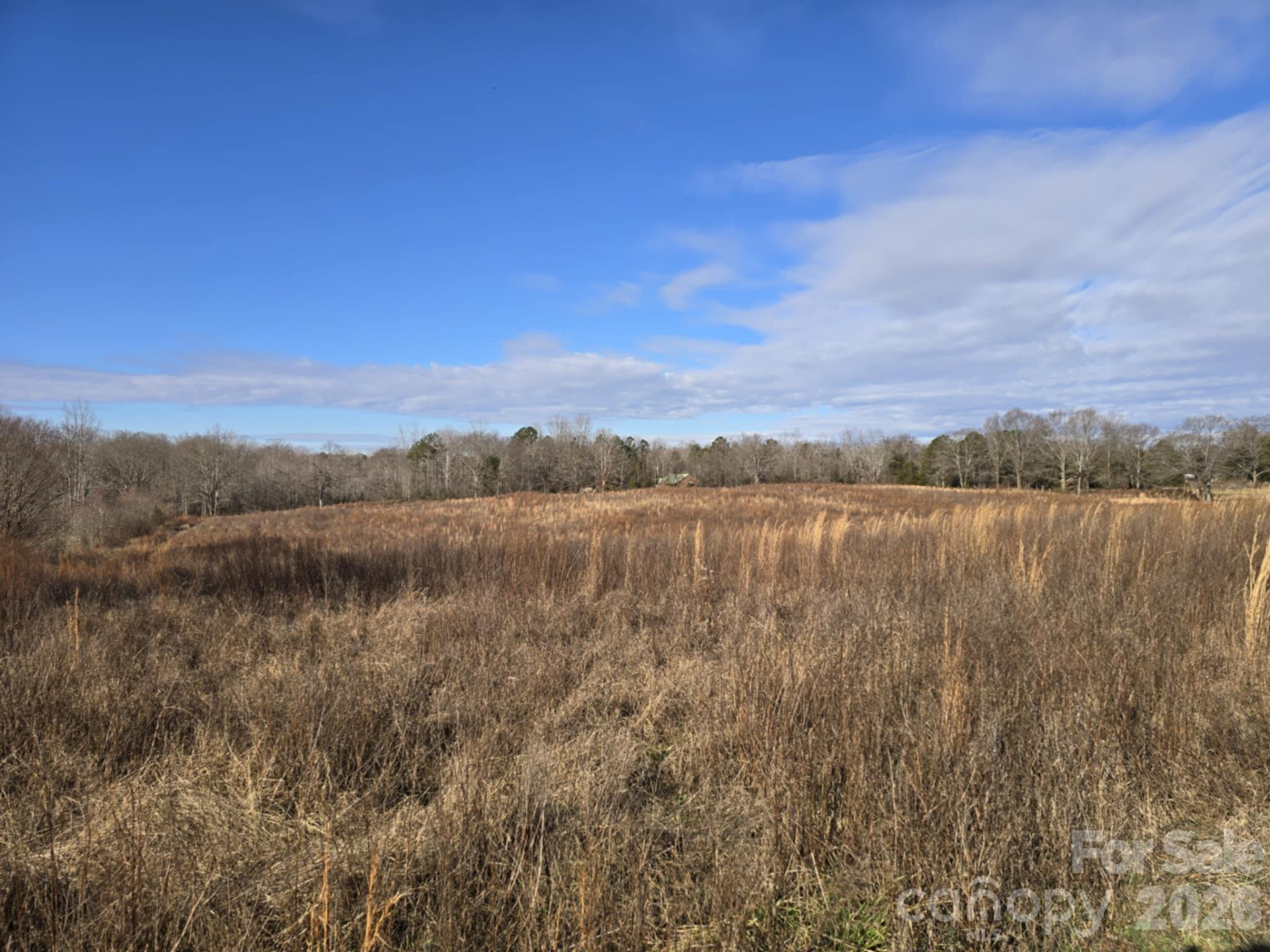 TBD Sandy Springs Road - Photo 20