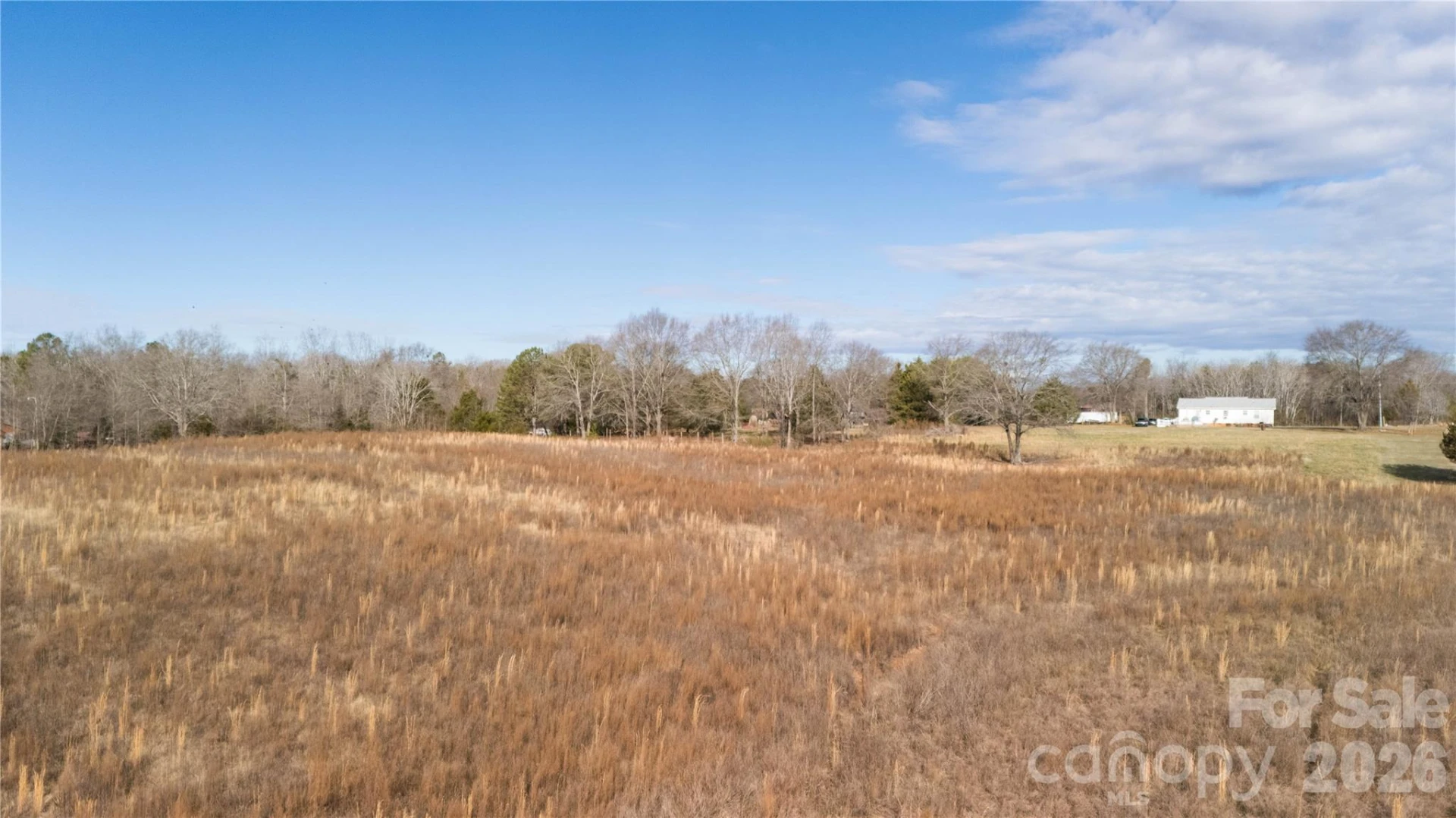 TBD Sandy Springs Road - Photo 21
