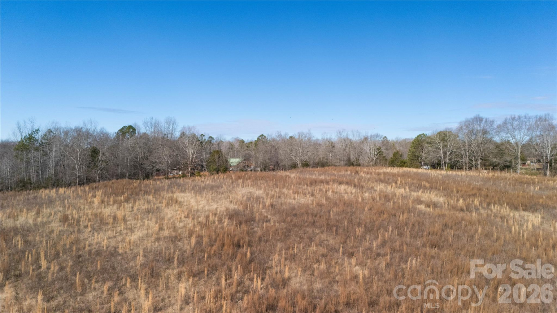 TBD Sandy Springs Road - Photo 22