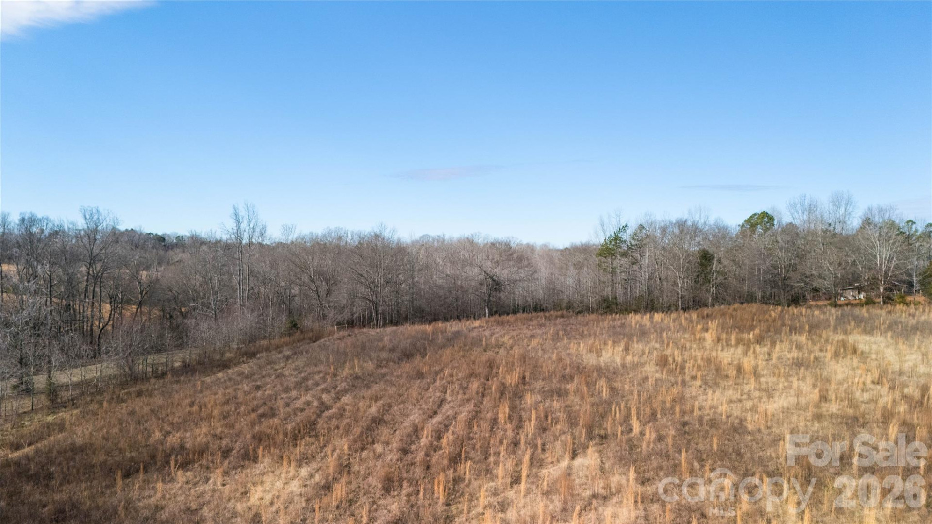 TBD Sandy Springs Road - Photo 23