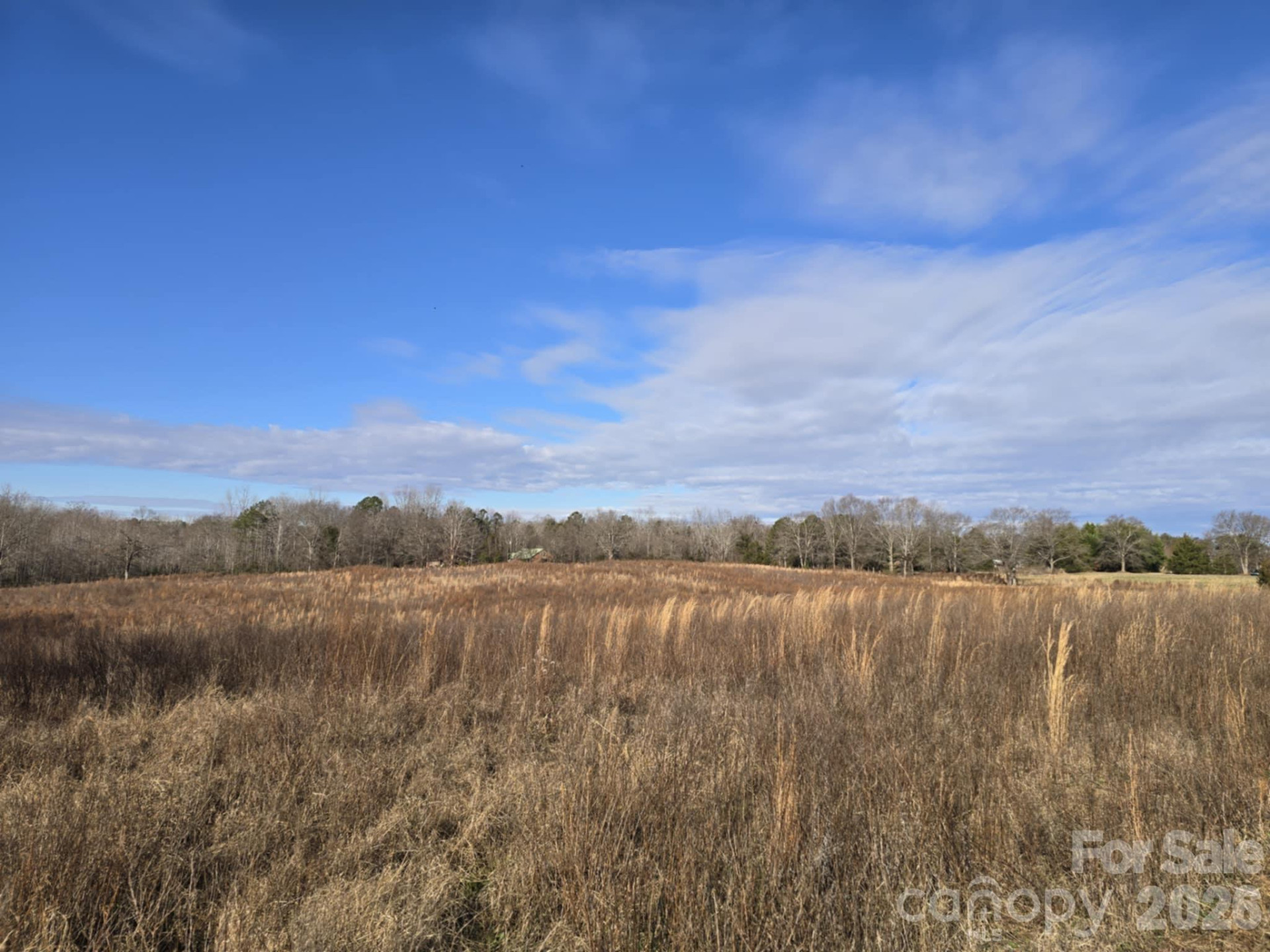 TBD Sandy Springs Road - Photo 4