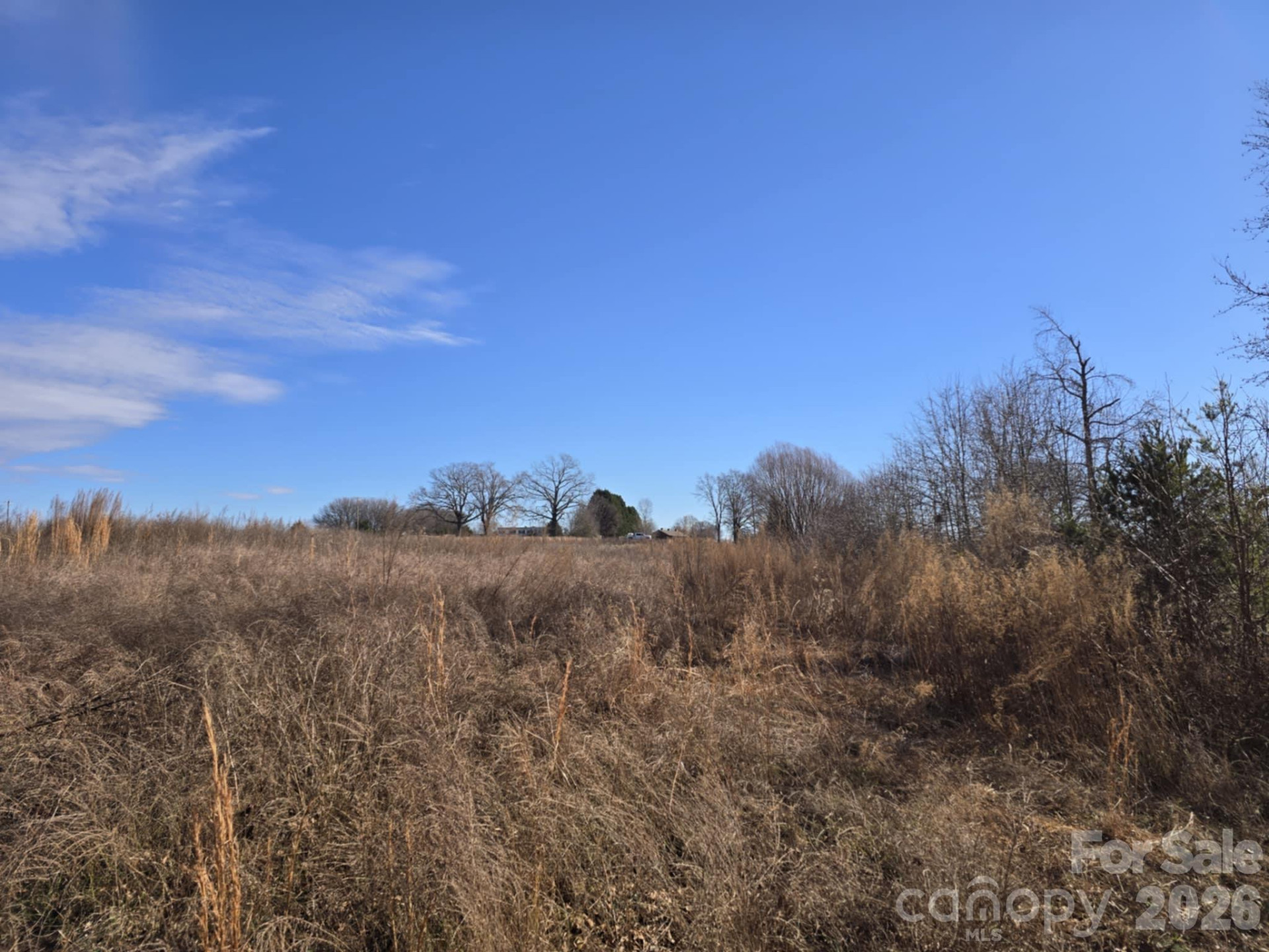 TBD Sandy Springs Road - Photo 6