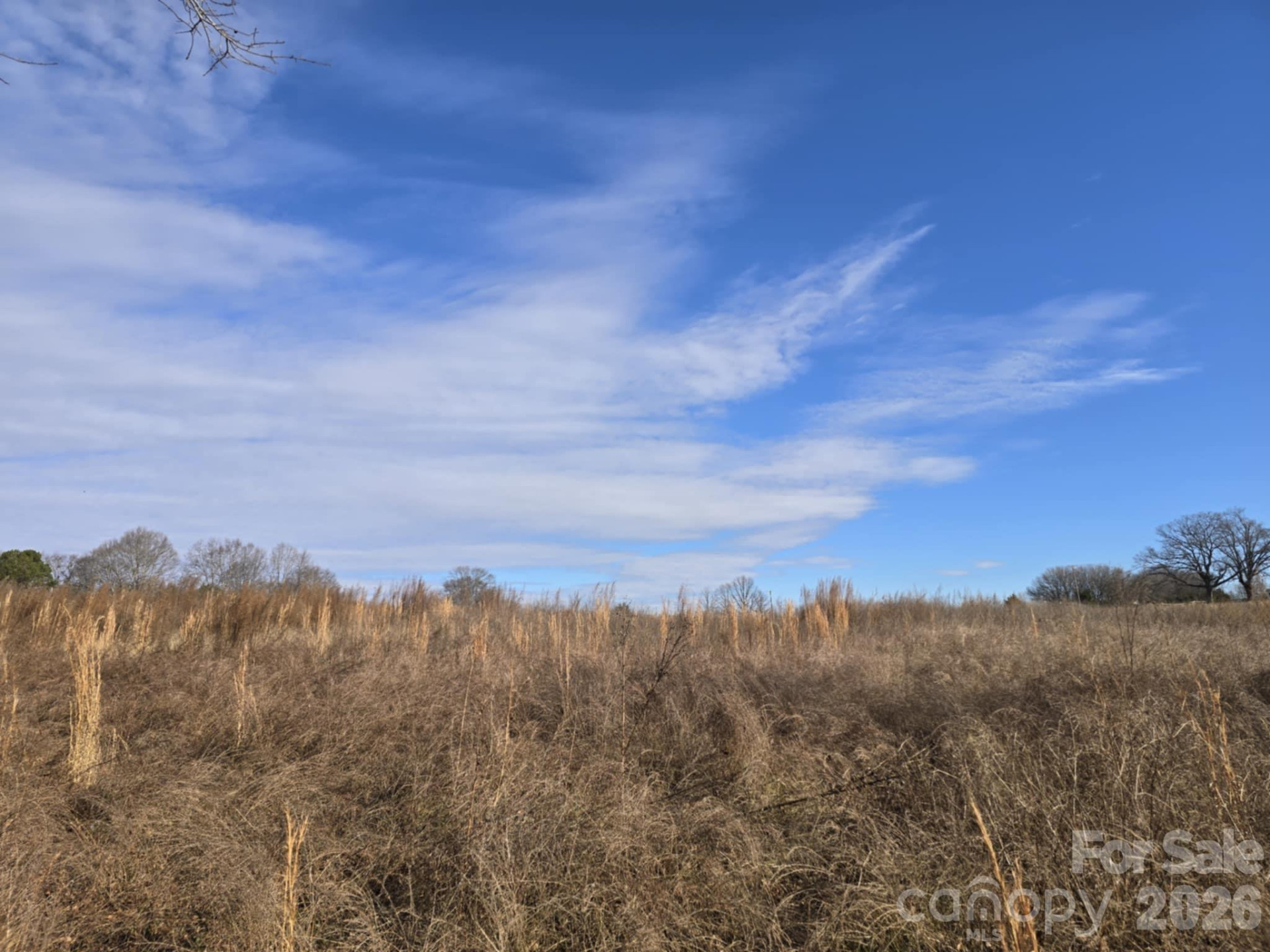 TBD Sandy Springs Road - Photo 8