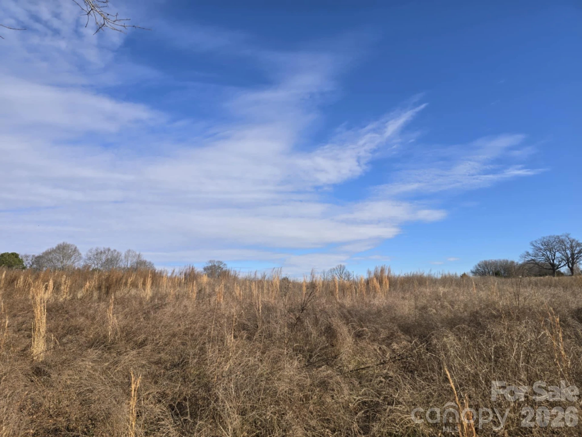 TBD Sandy Springs Road - Photo 8