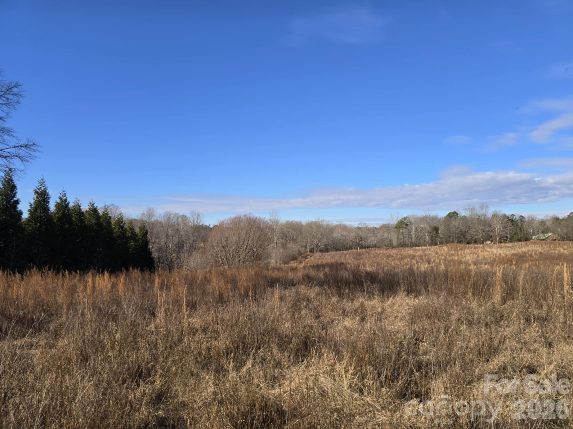 TBD Sandy Springs Road - Photo 9