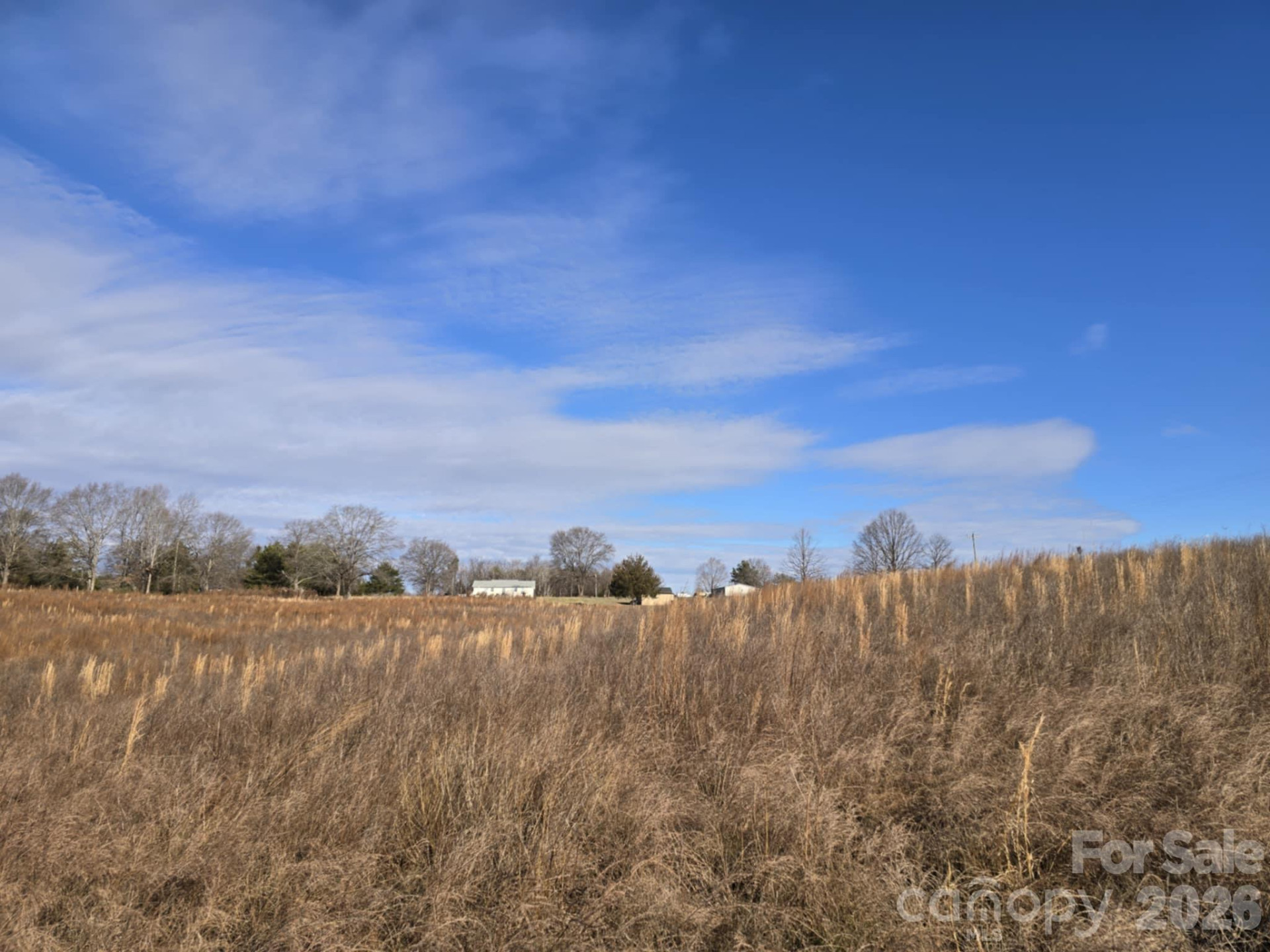 TBD Sandy Springs Road - Photo 10