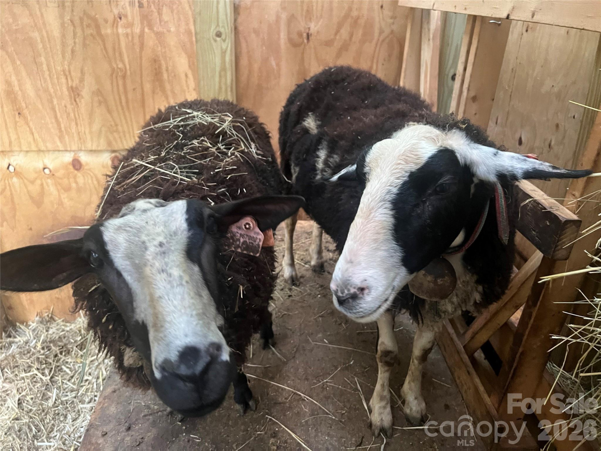 2778 Mule Stomp Road