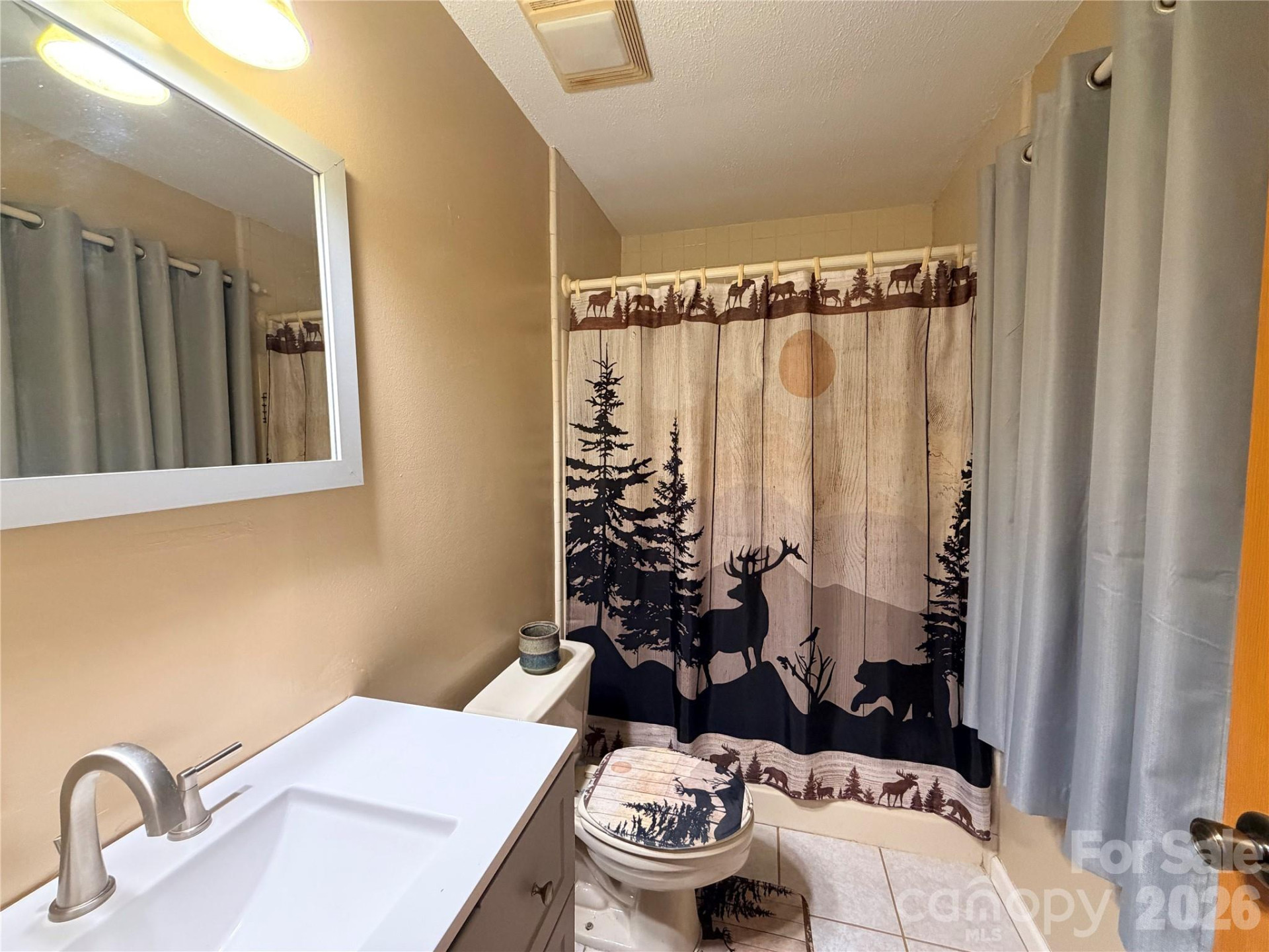 2778 Mule Stomp Road - Photo 17