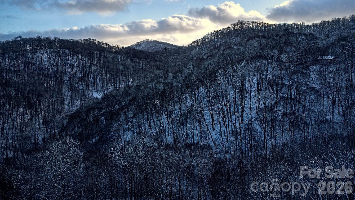 2778 Mule Stomp Road - Photo 23