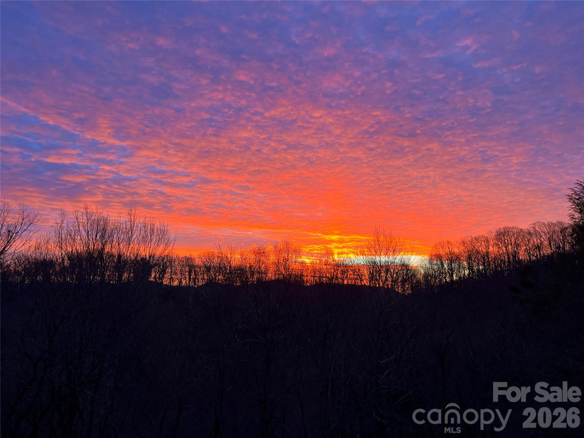 2778 Mule Stomp Road - Photo 25